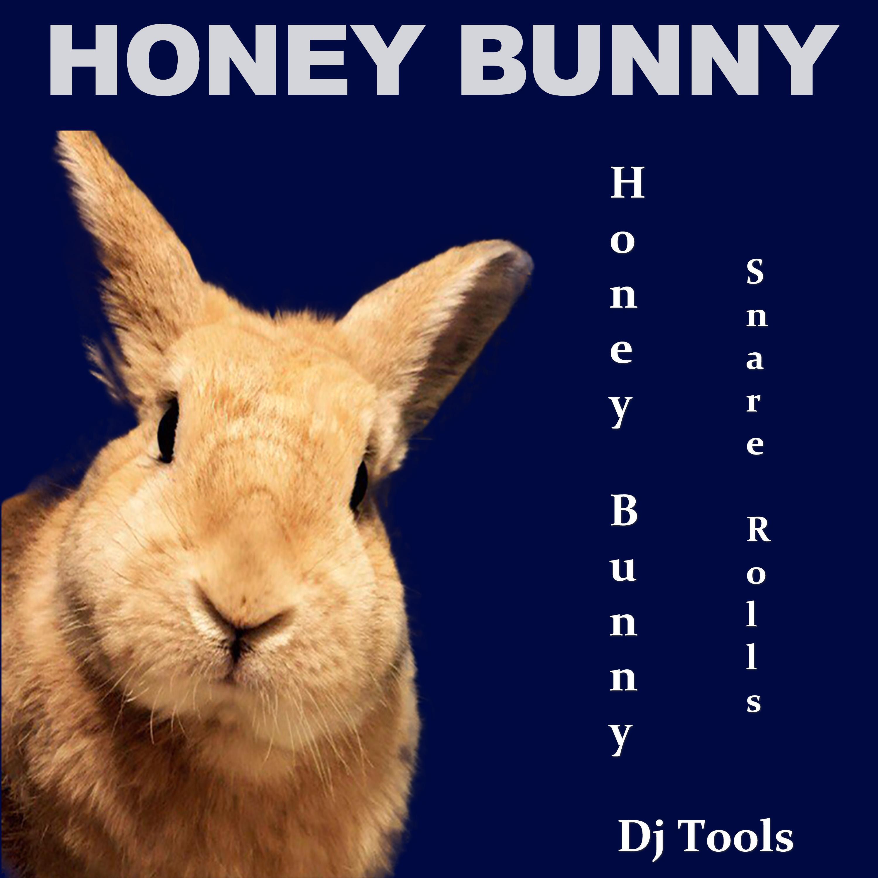 Релиз Snare Rolls (Dj Tools)