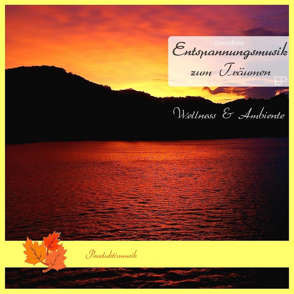 Wellness & Ambiente