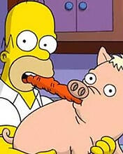 Dj Homer