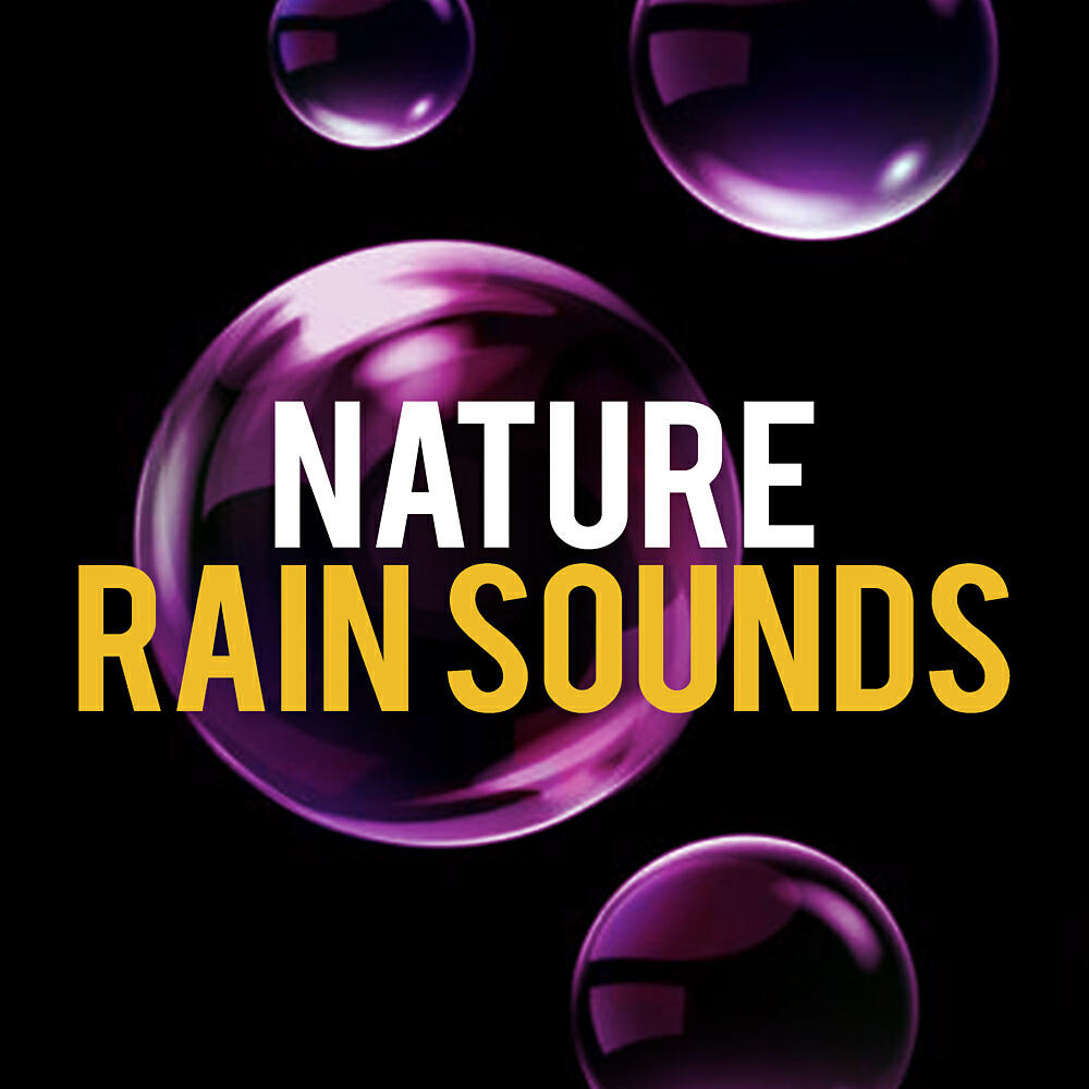Постер альбома Nature Rain Sounds