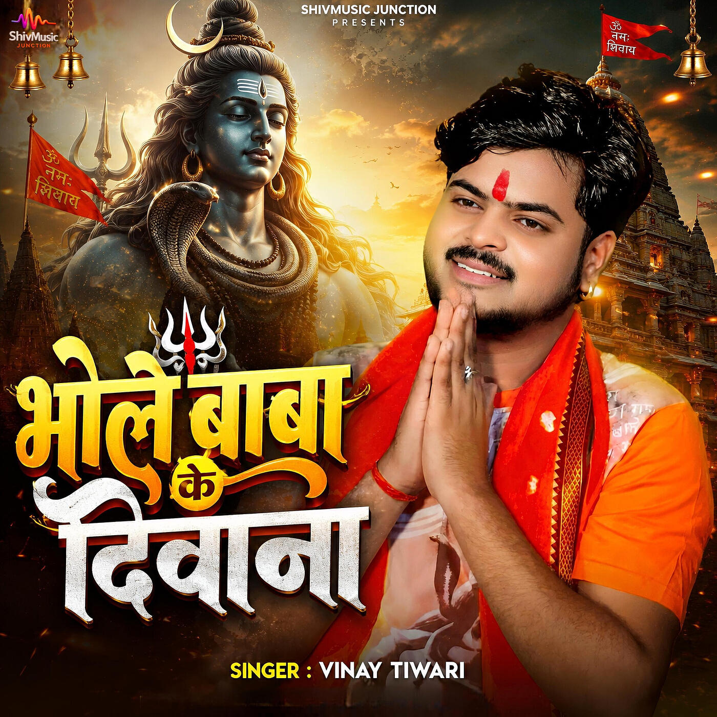 Vinay Tiwari