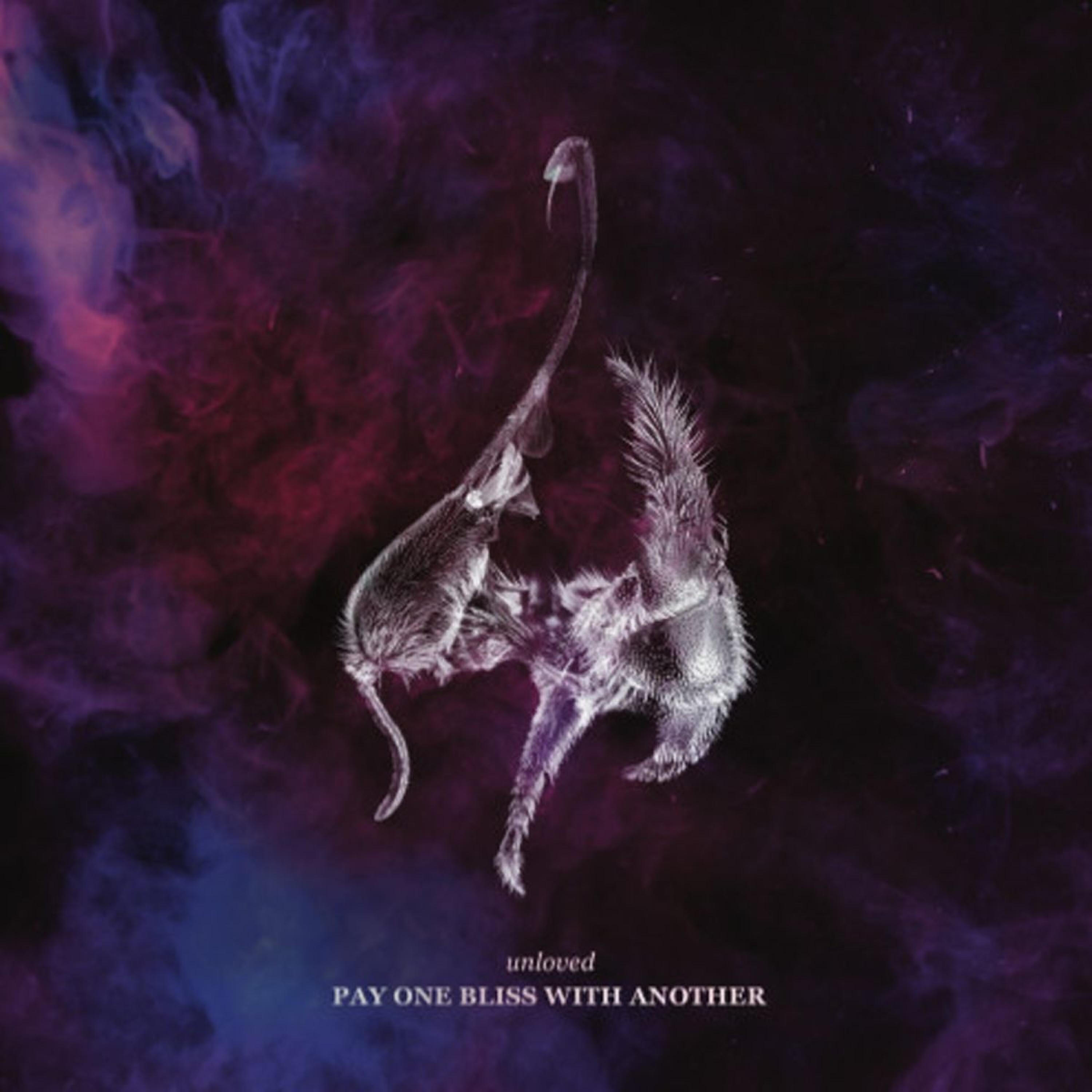 Релиз Pay One Bliss with Another