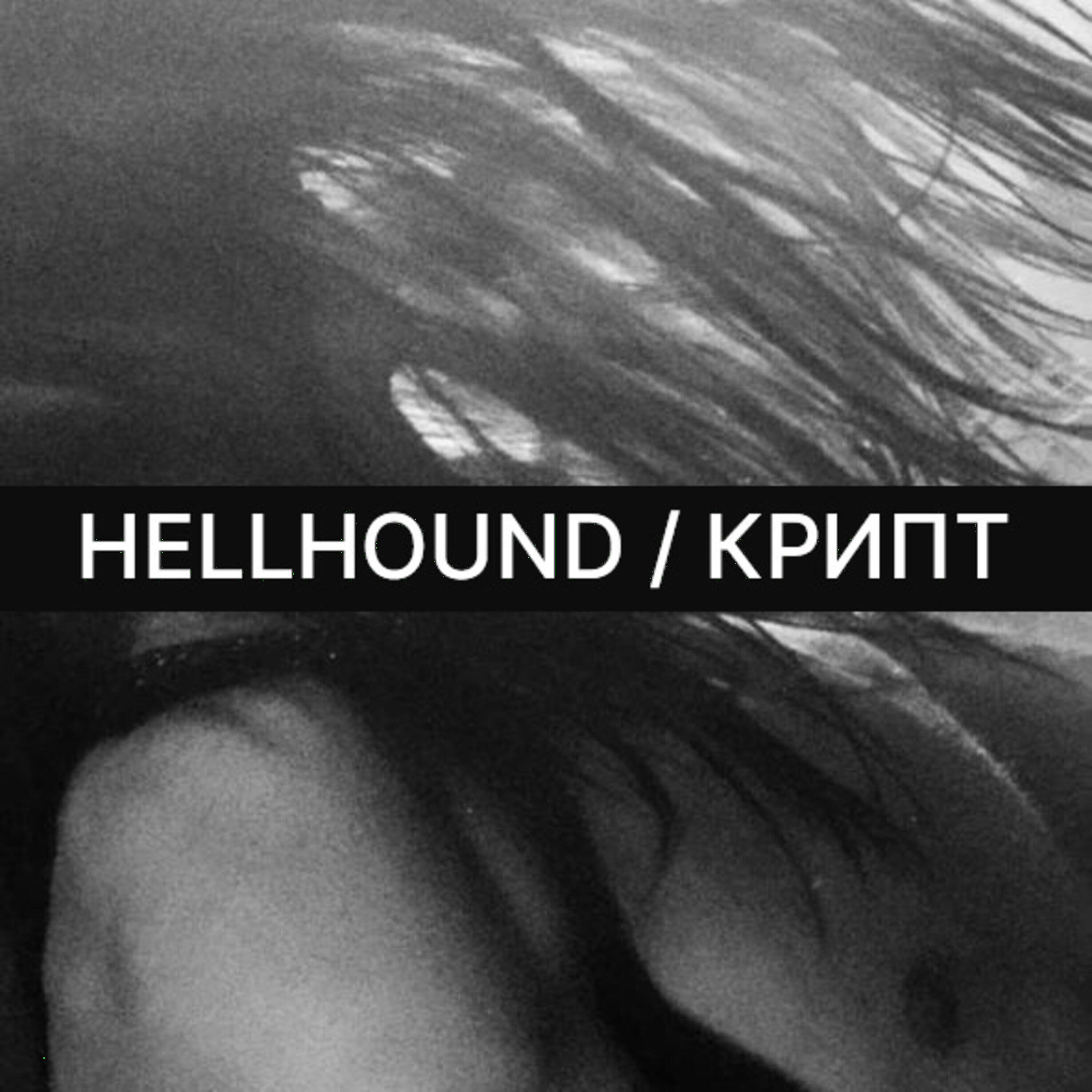 HELLHOUND