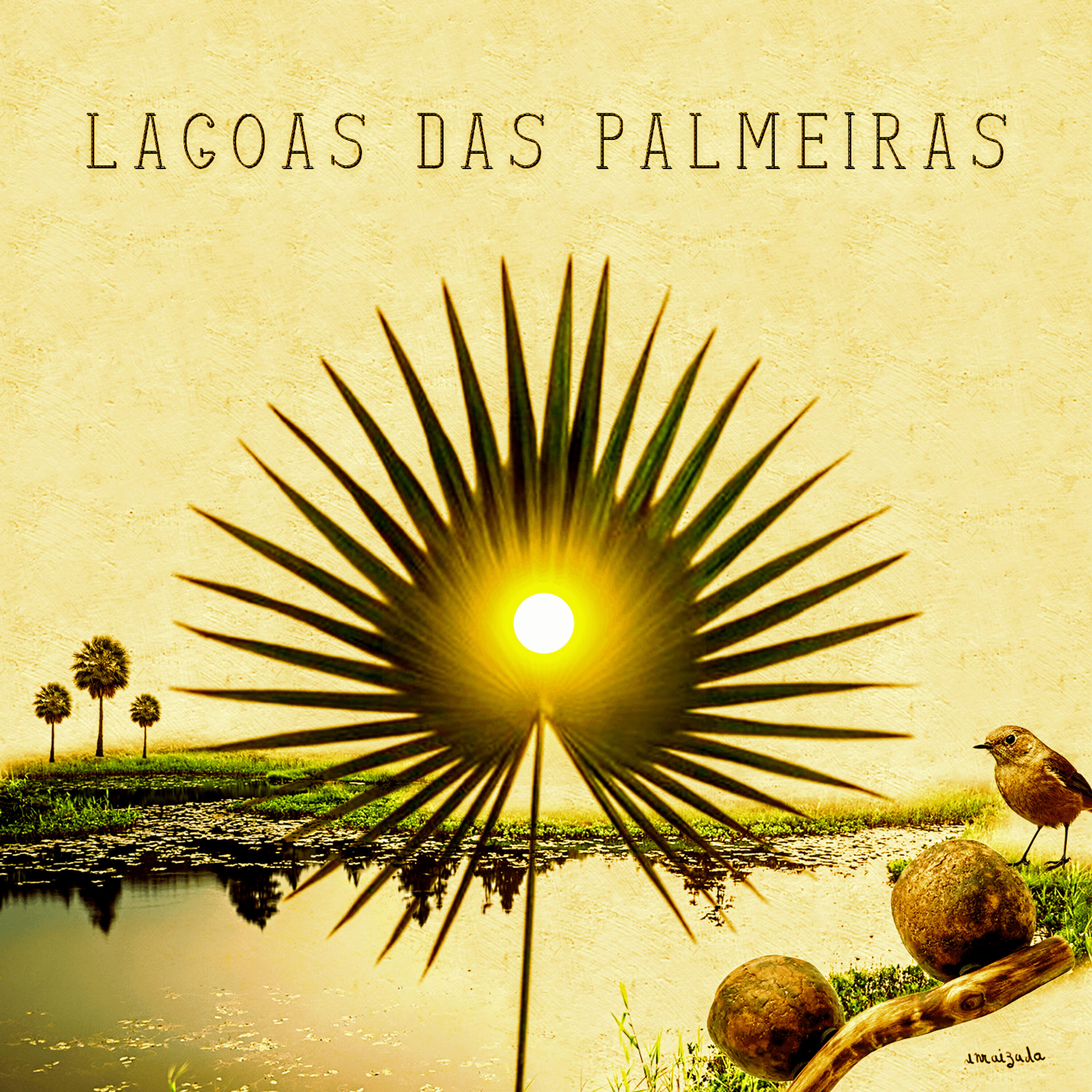 Релиз Lagoas das Palmeiras