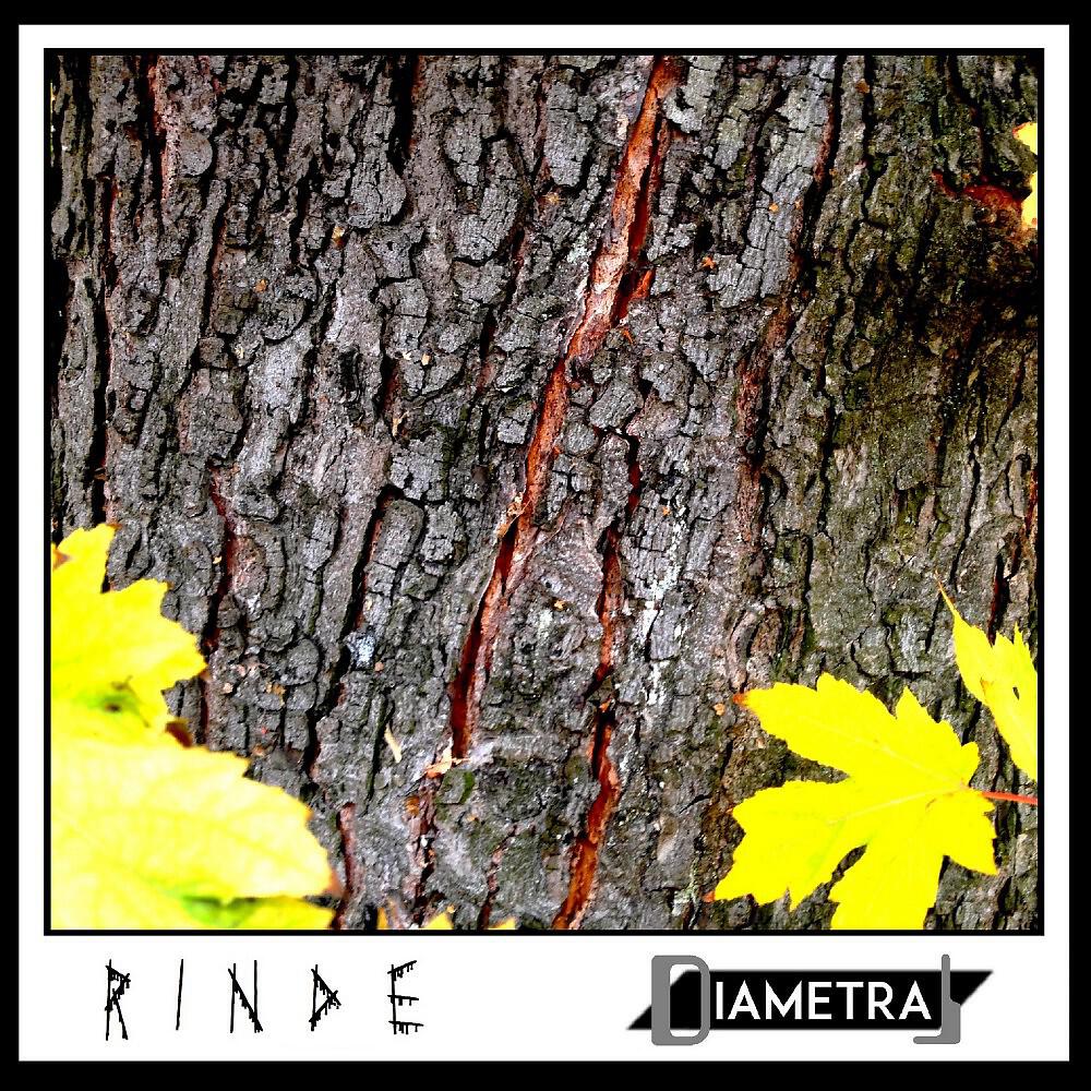 Релиз Rinde