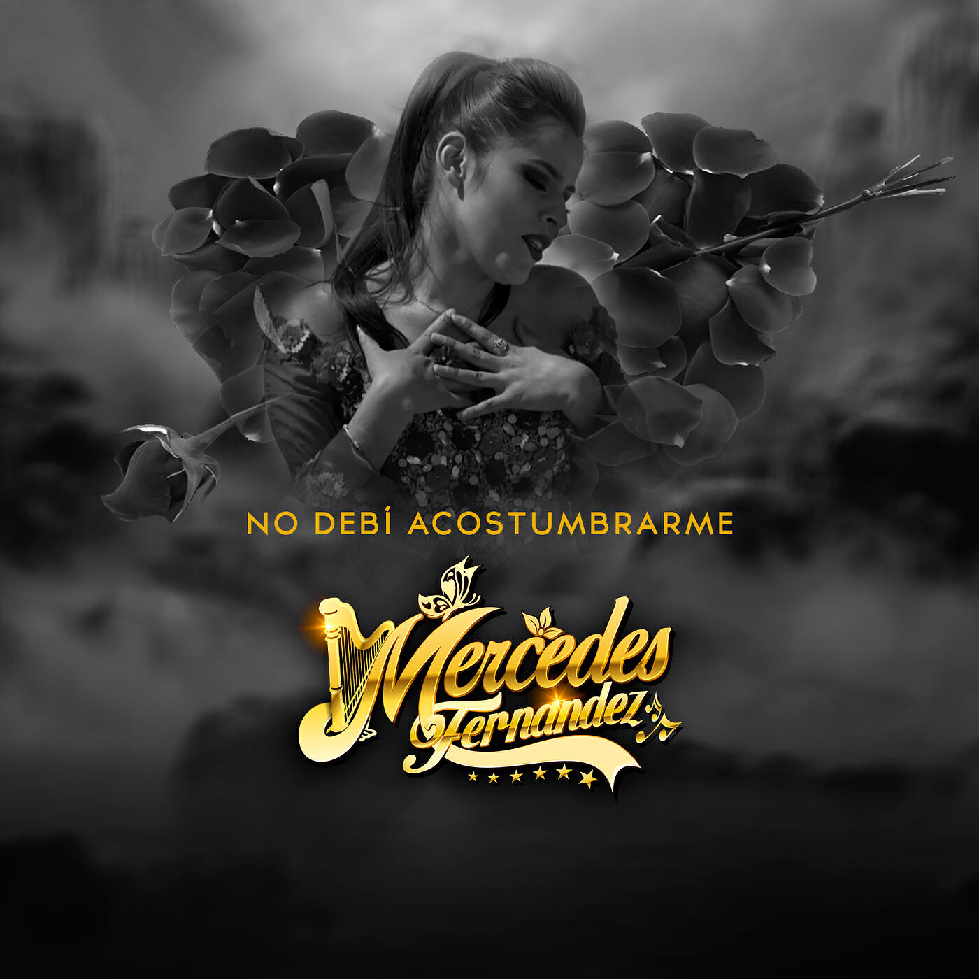 Mercedes Fernandez
