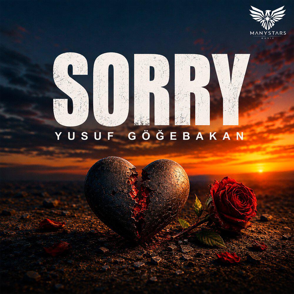 Релиз Sorry