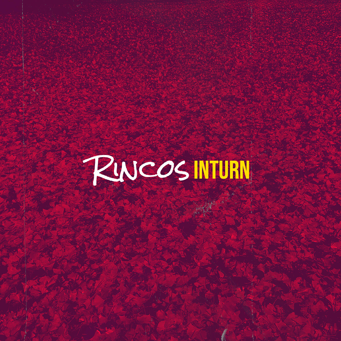 Релиз Rincos