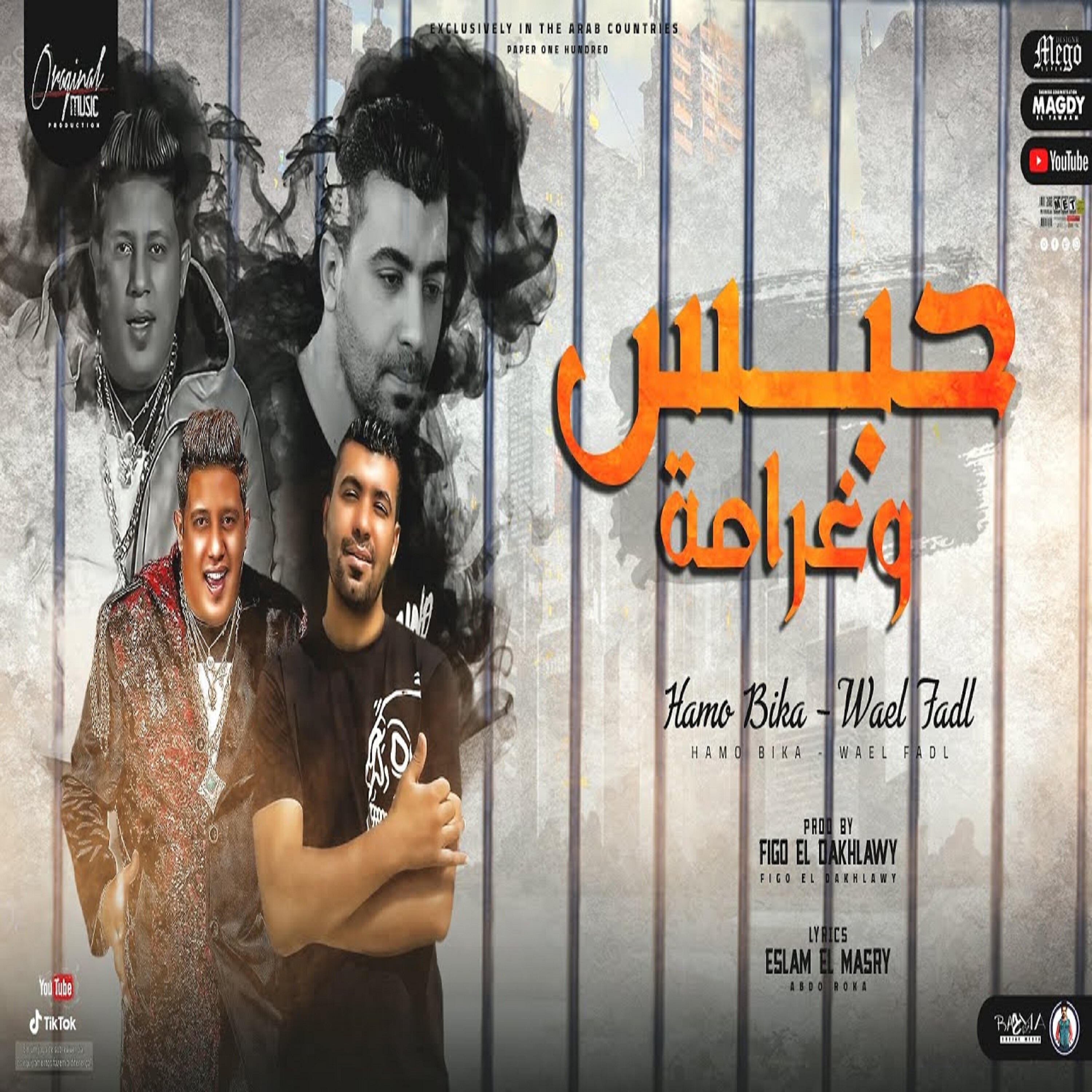 وائل فضل