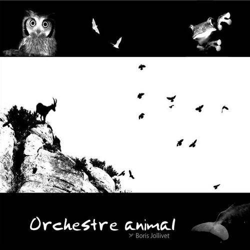 Релиз Orchestre animal