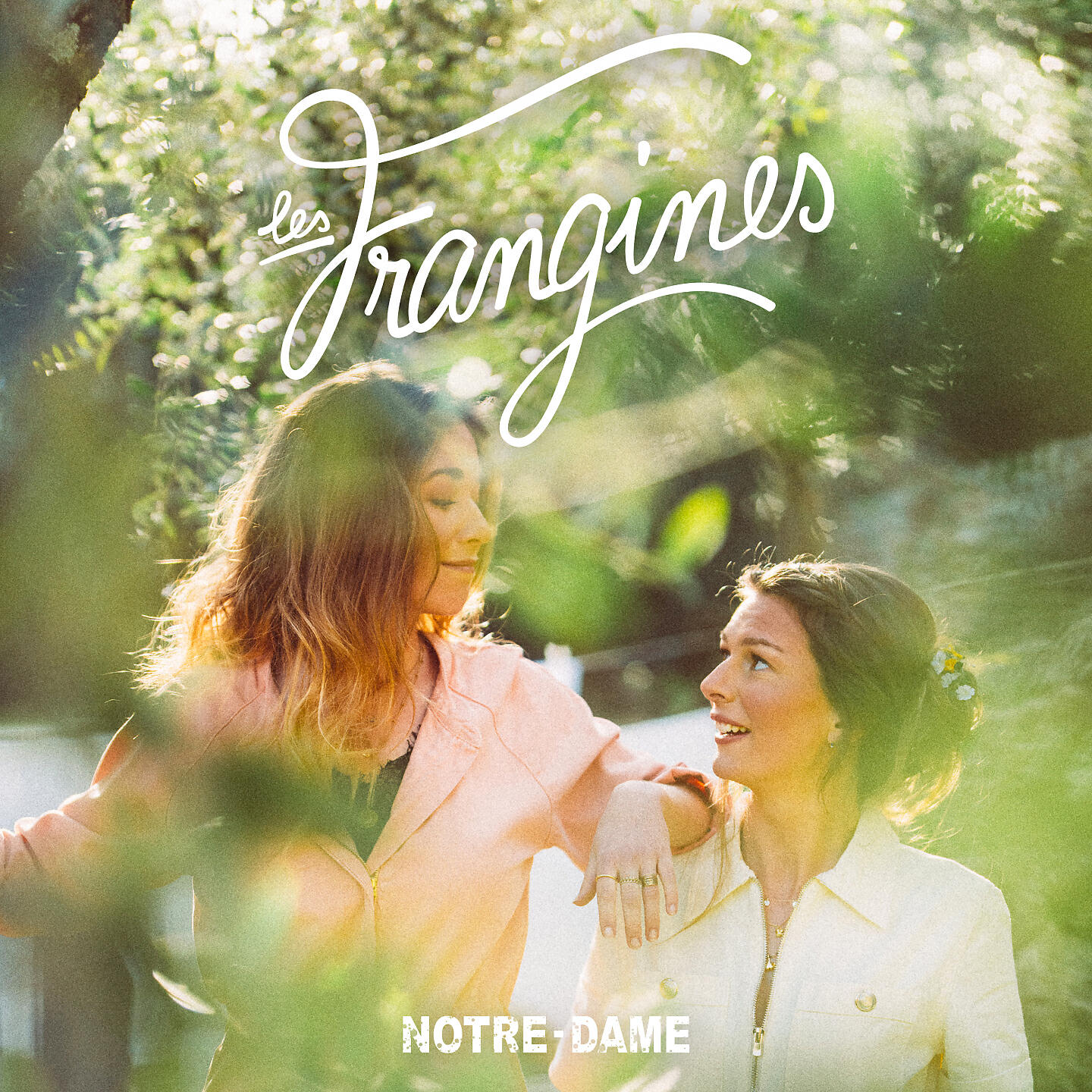 Релиз Notre-Dame