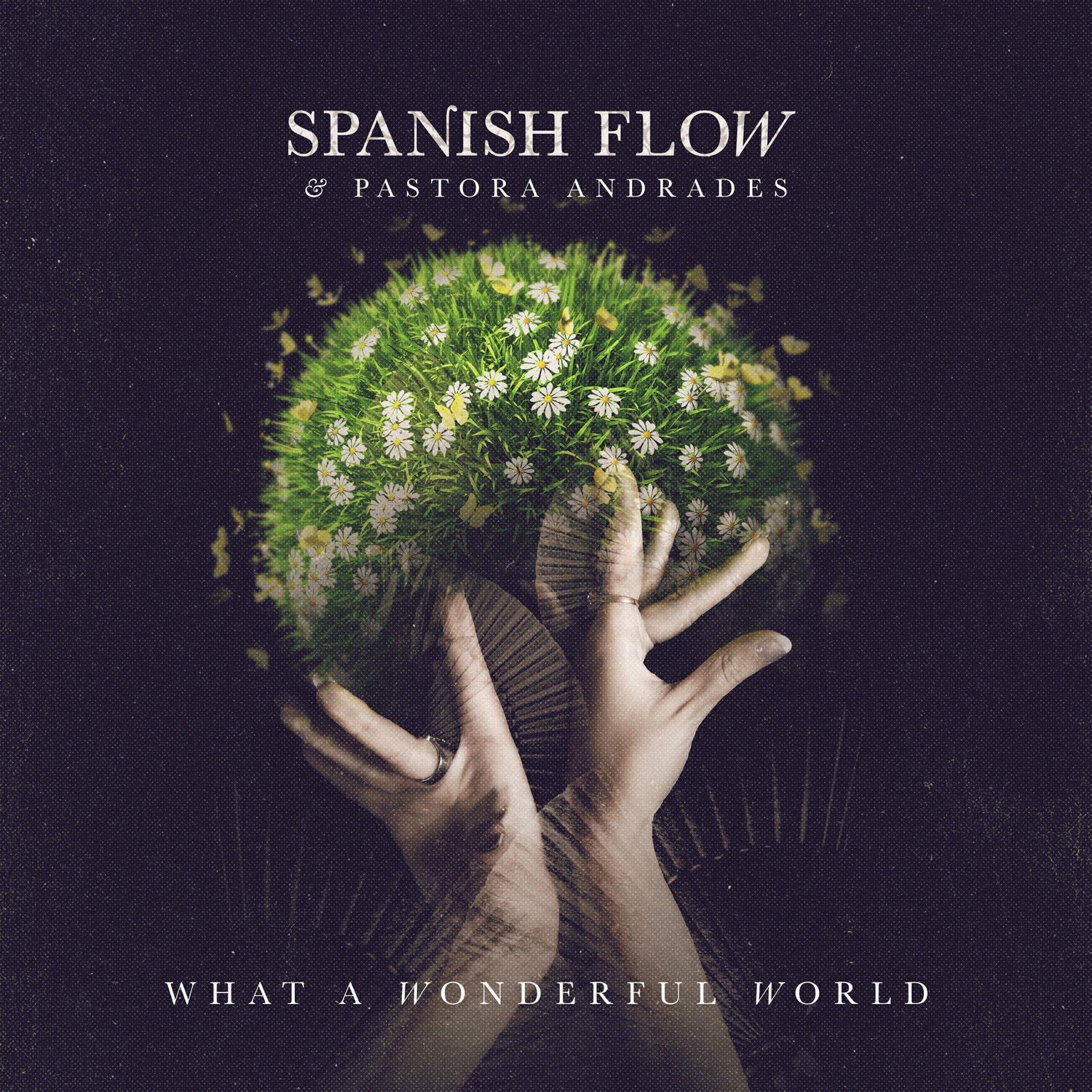 Релиз What a Wonderful World