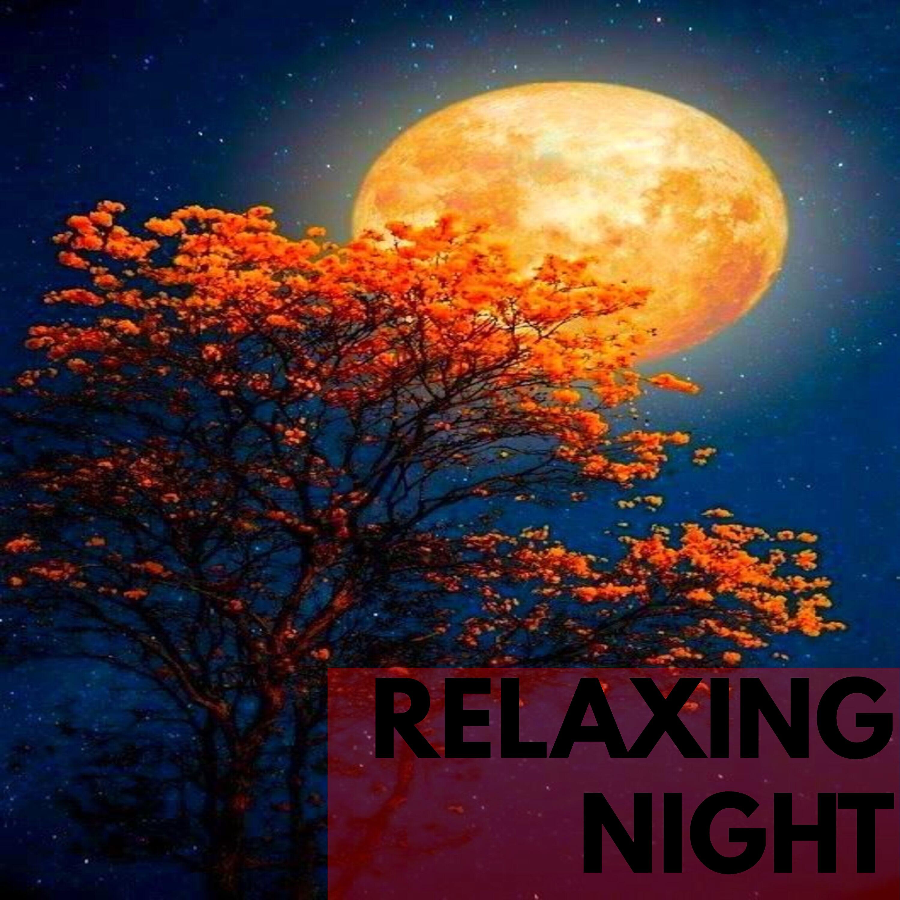 Релиз Noche Relajante