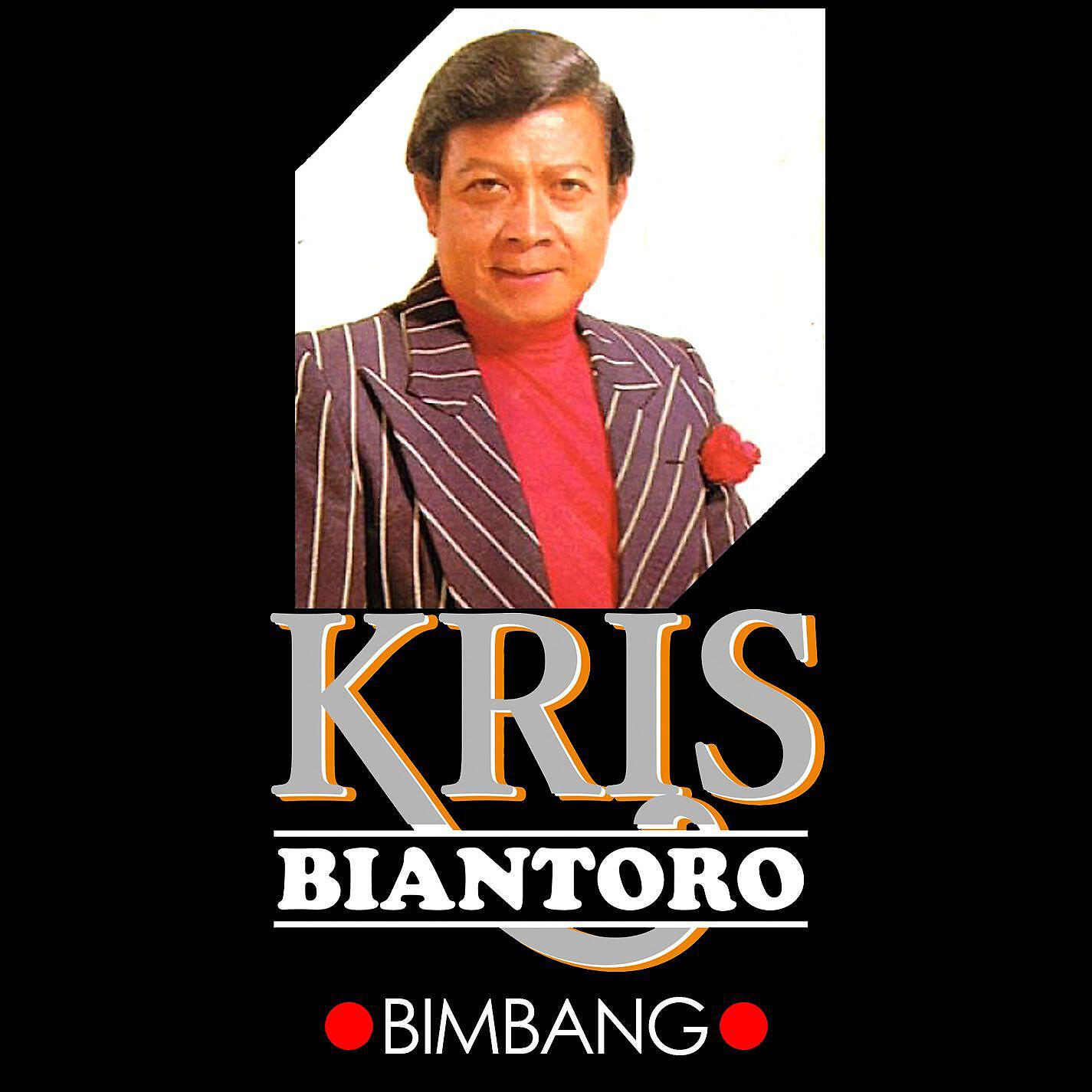 Релиз Bimbang