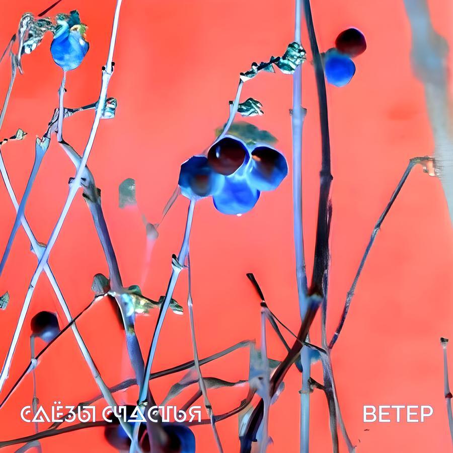 Слёзы Счастья