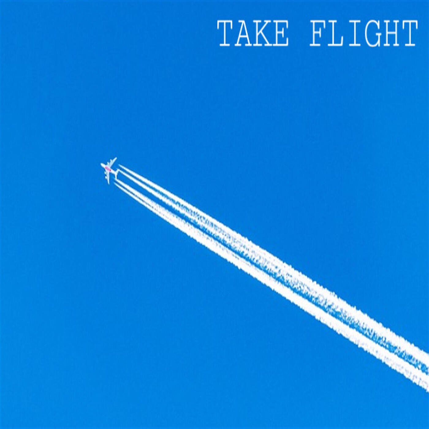 Релиз Take Flight