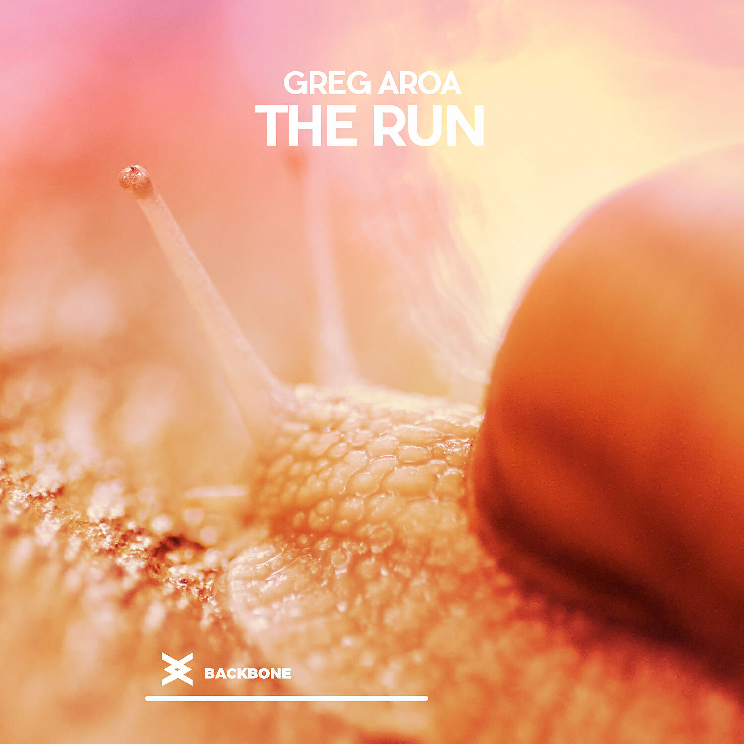 Релиз The Run