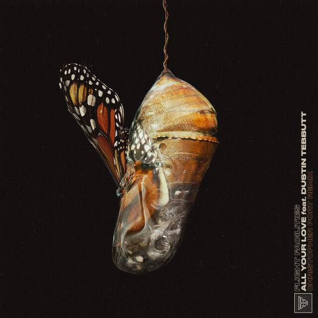 Релиз All Your Love (Christopher Port Remix)