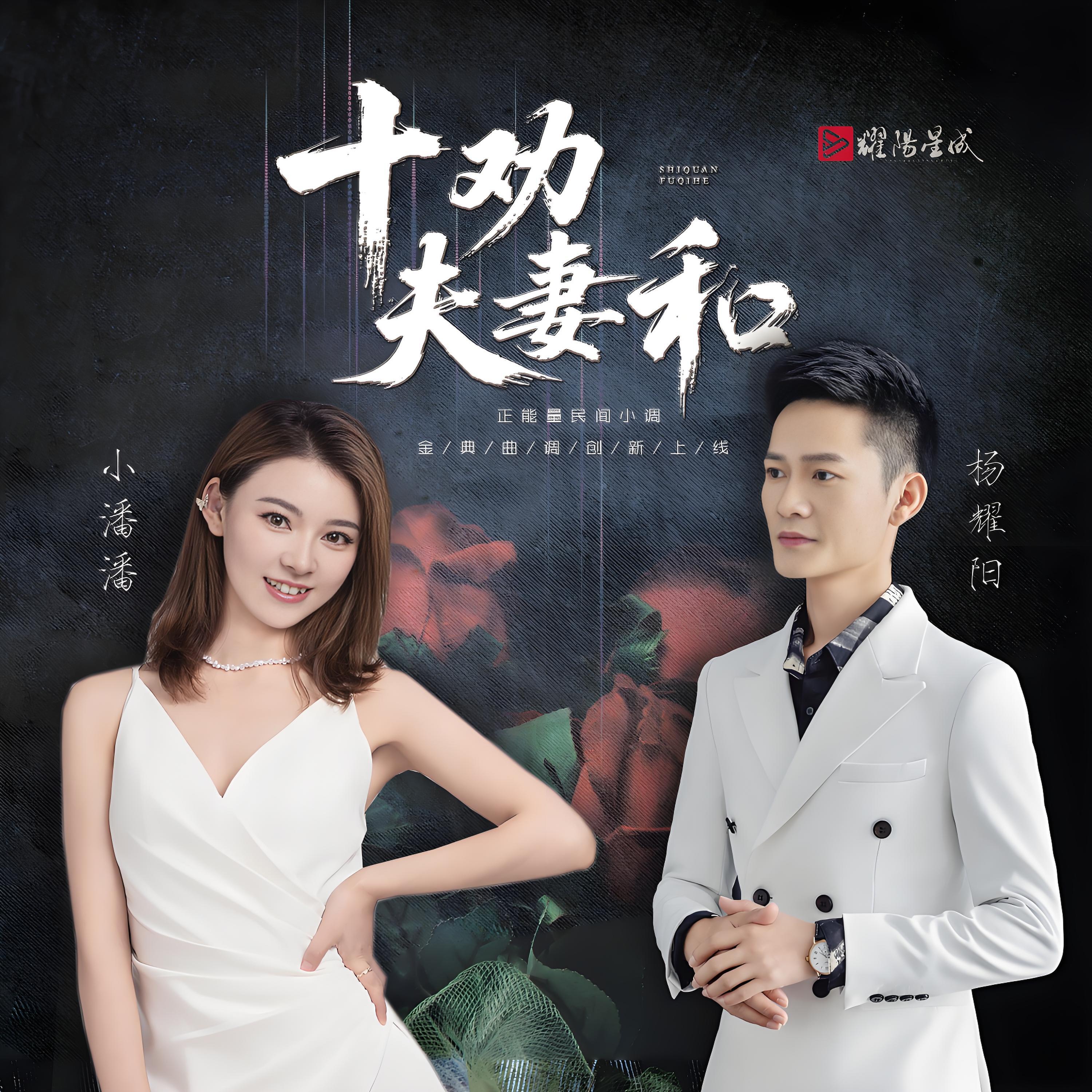 Релиз 十劝夫妻和