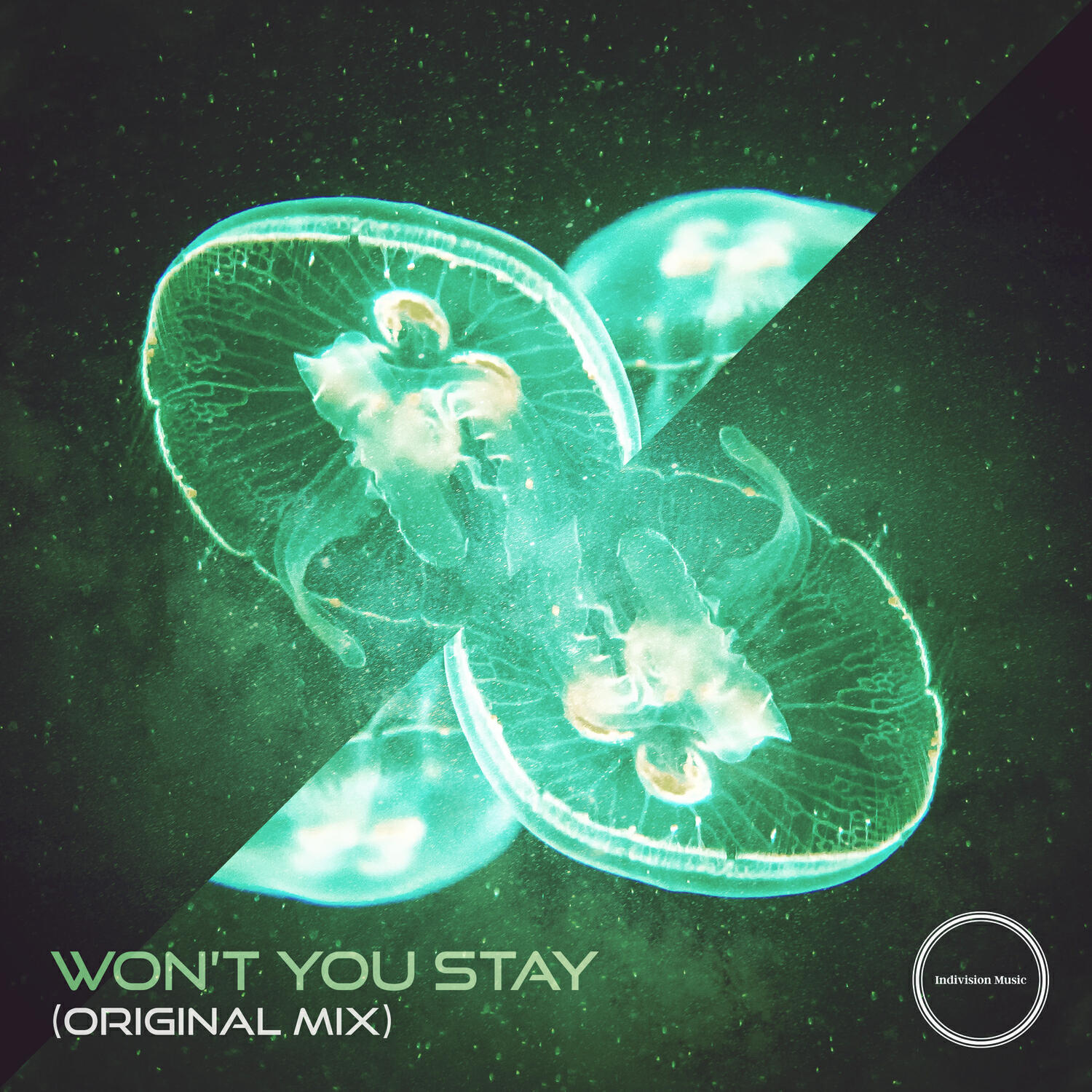Релиз Won't You Stay