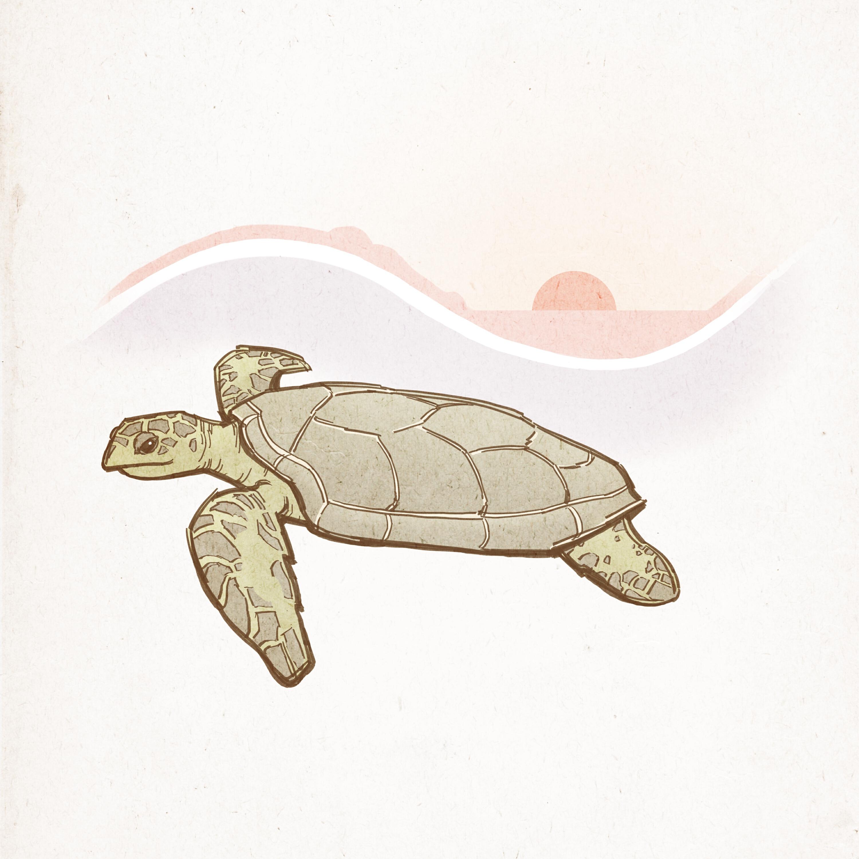 Релиз Sunset Travels