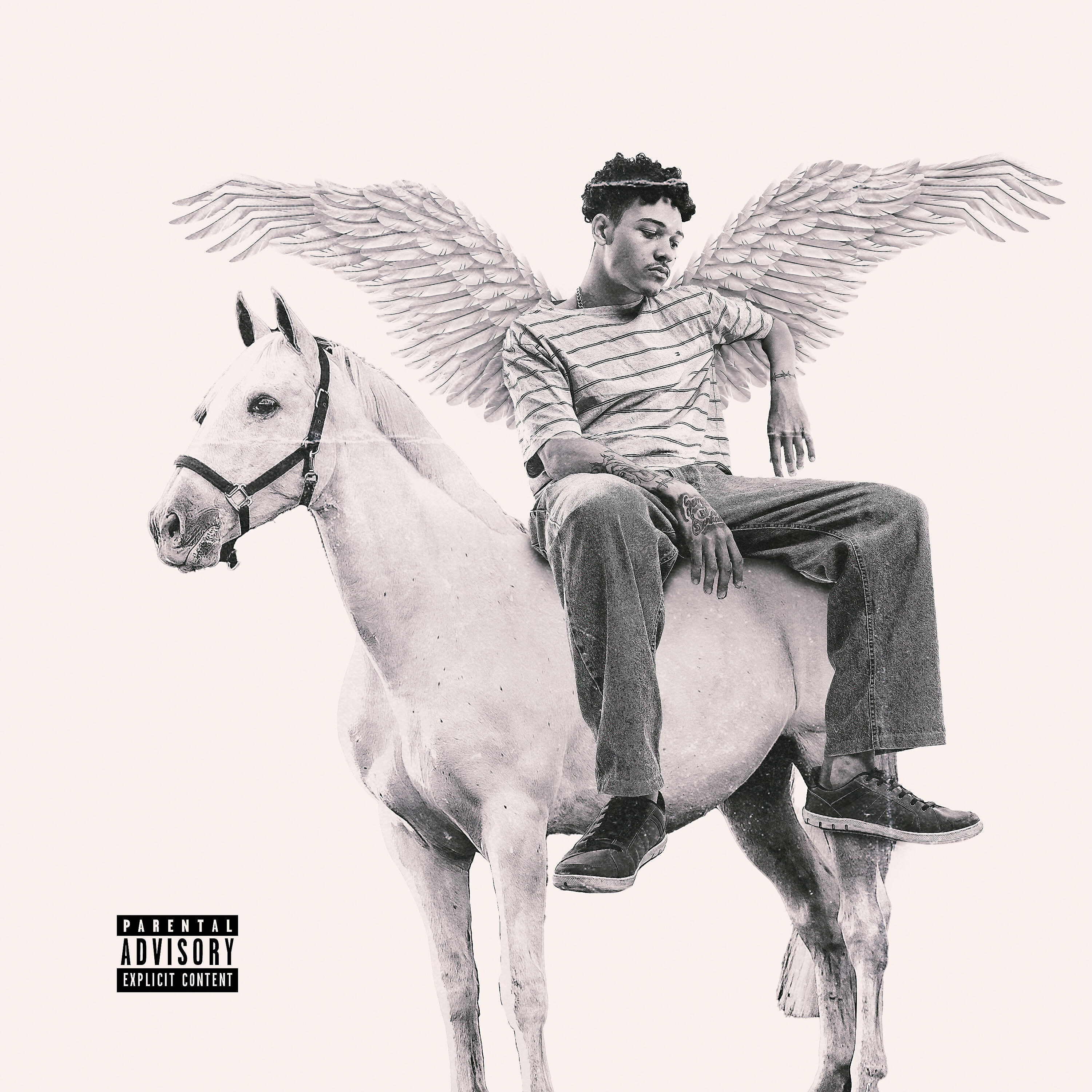 Релиз Cavalo Branco