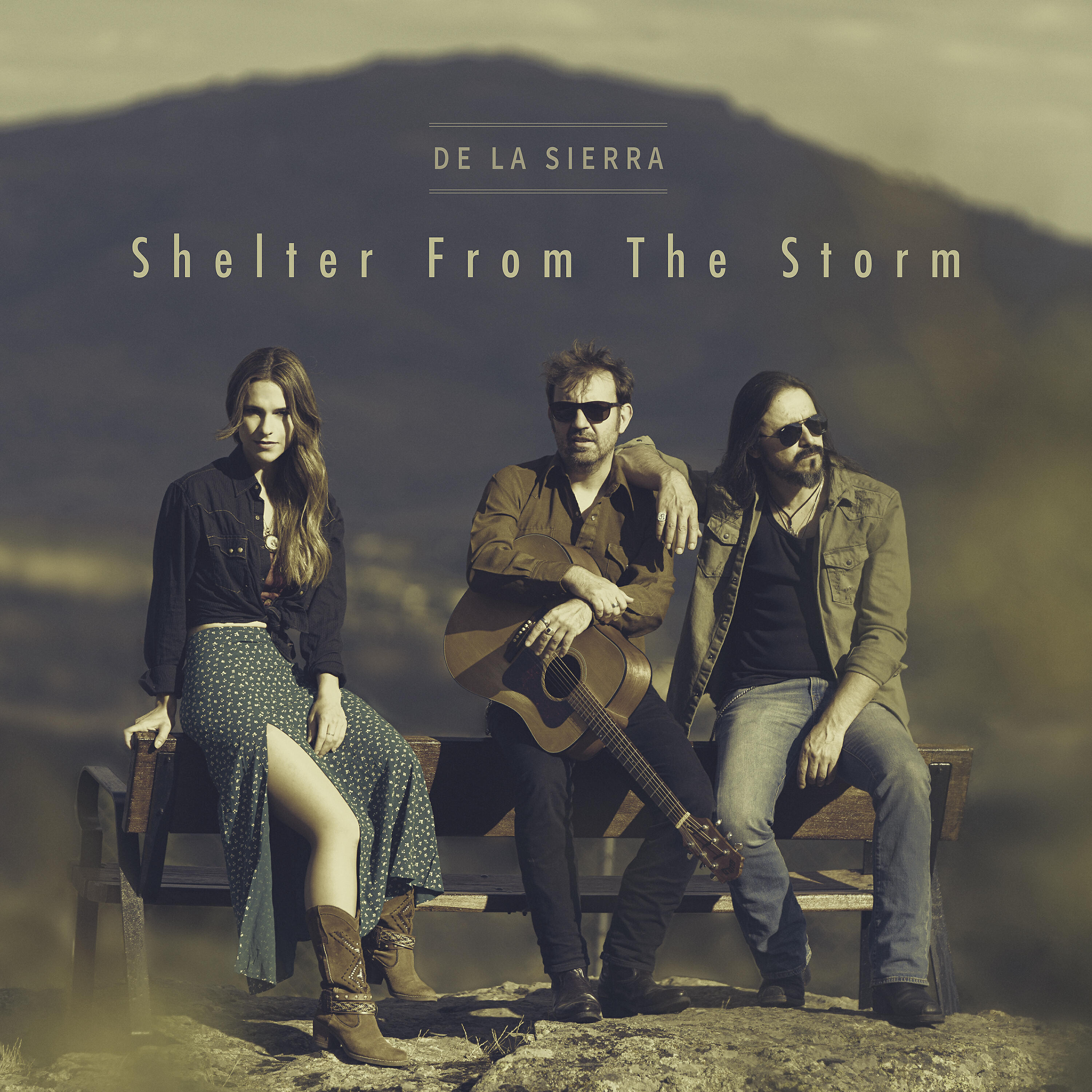 Релиз Shelter From the Storm