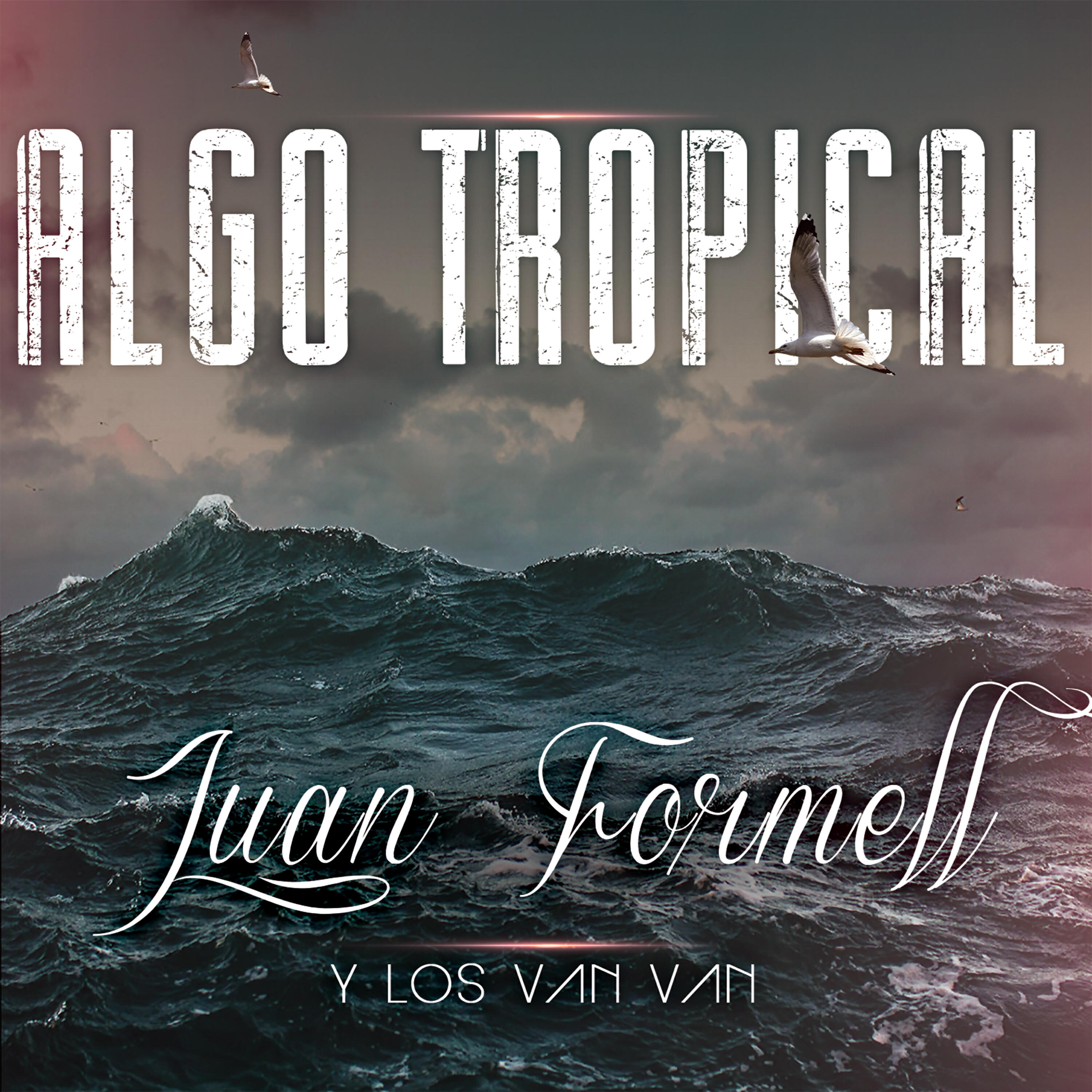 Релиз Algo Tropical
