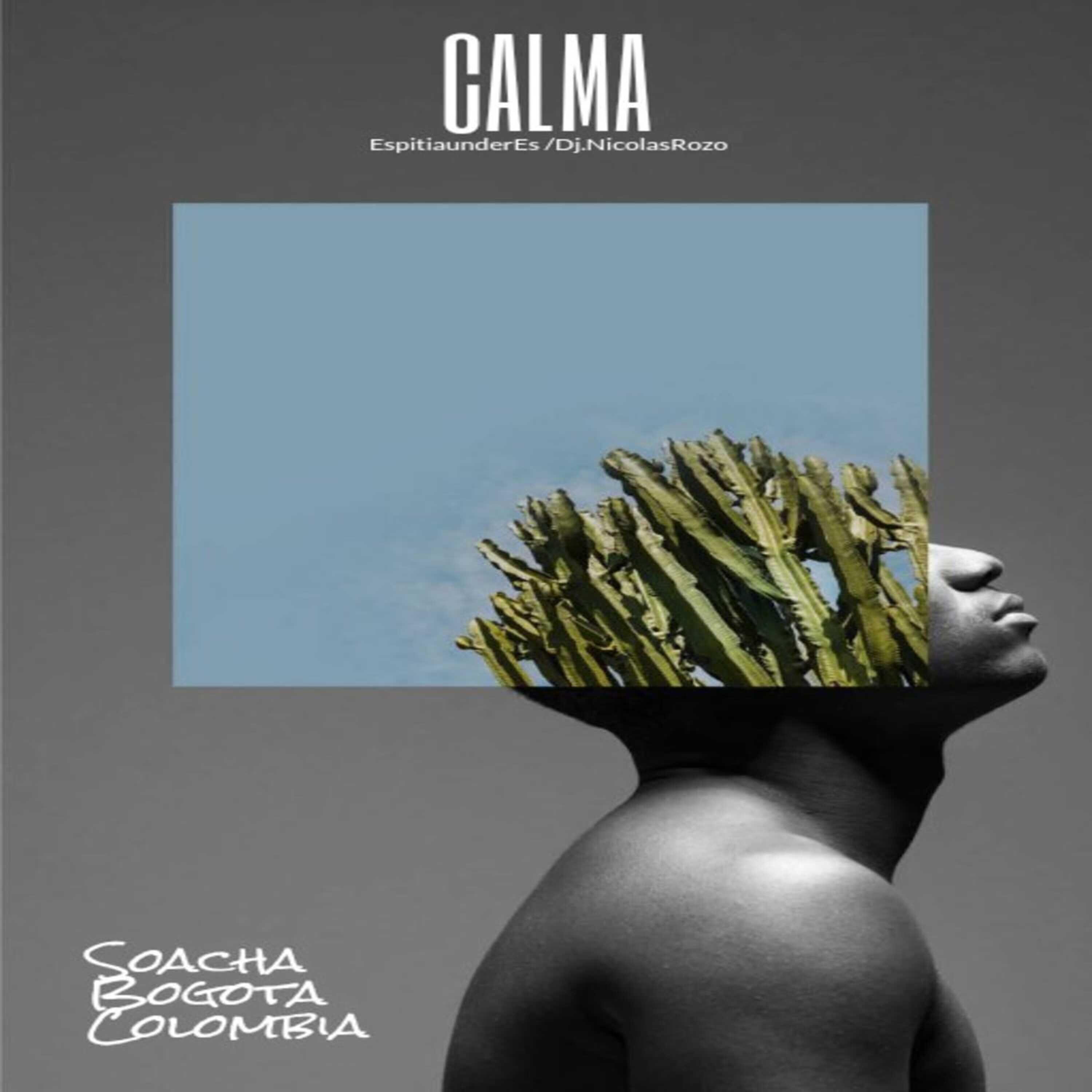 Релиз Calma
