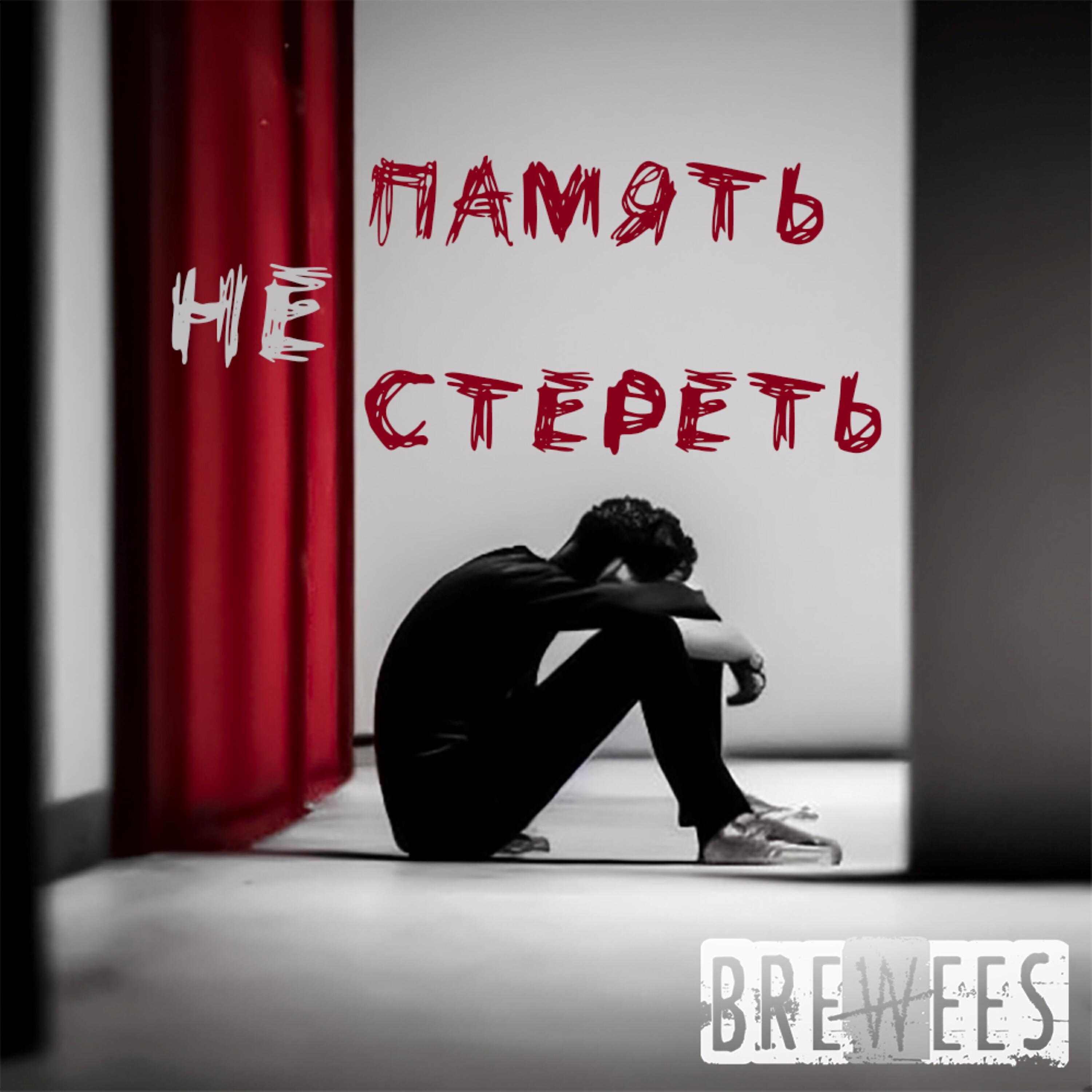 Постер альбома Память не стереть