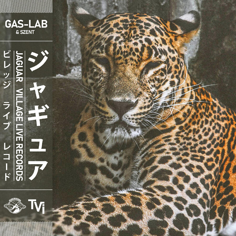 Волна по треку