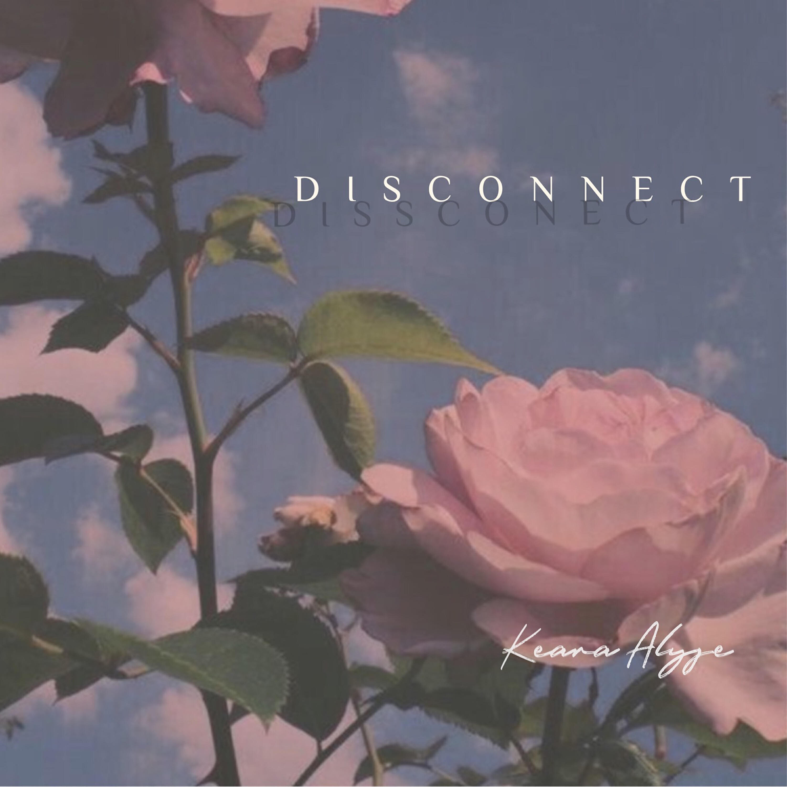 Релиз Disconnect