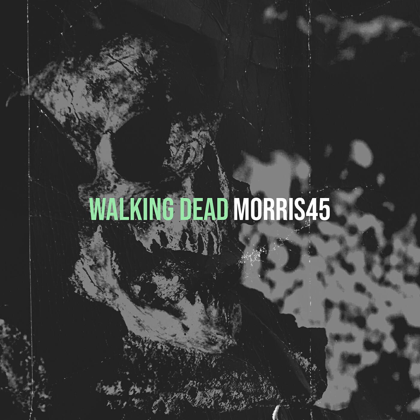 morris45