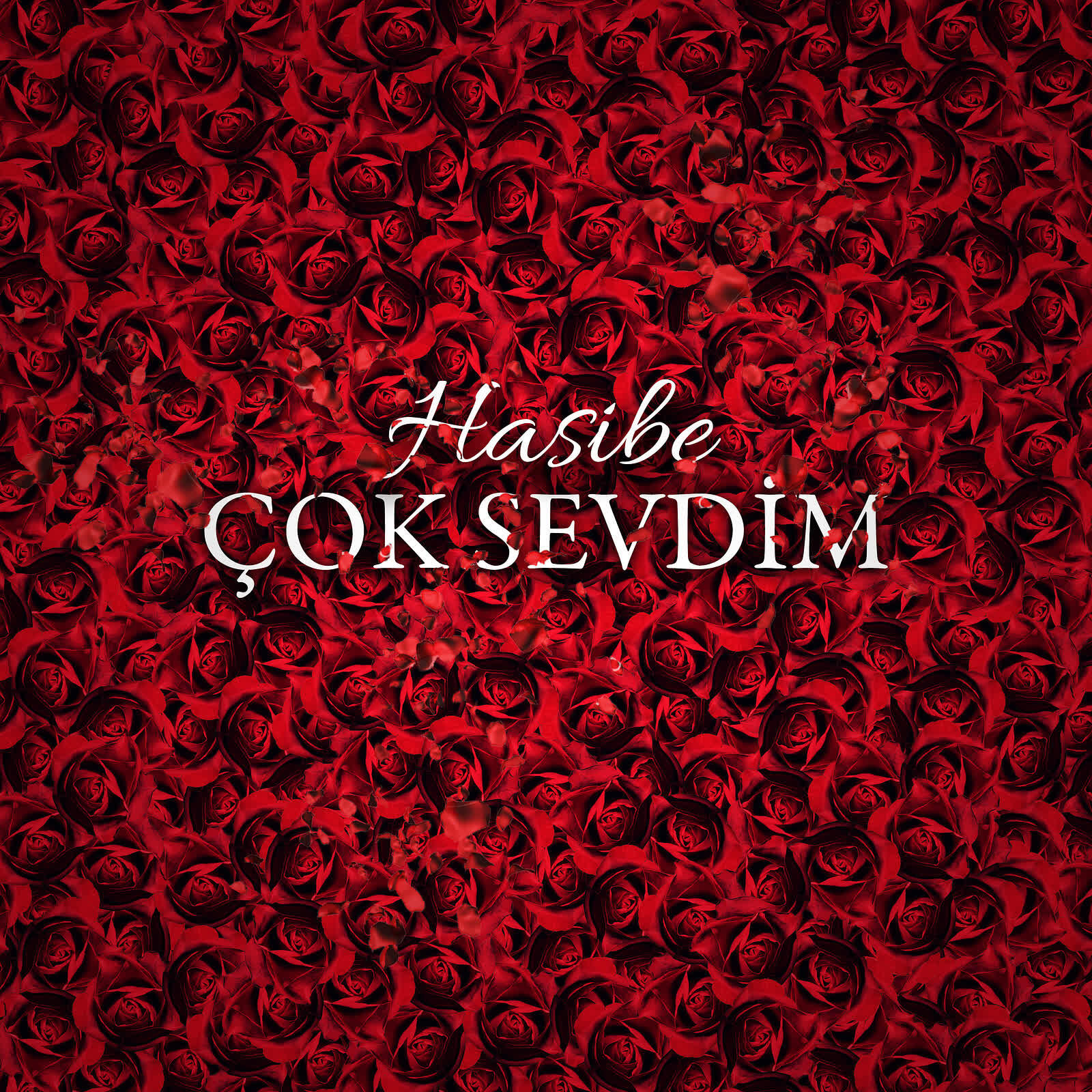 Релиз Çok Sevdim