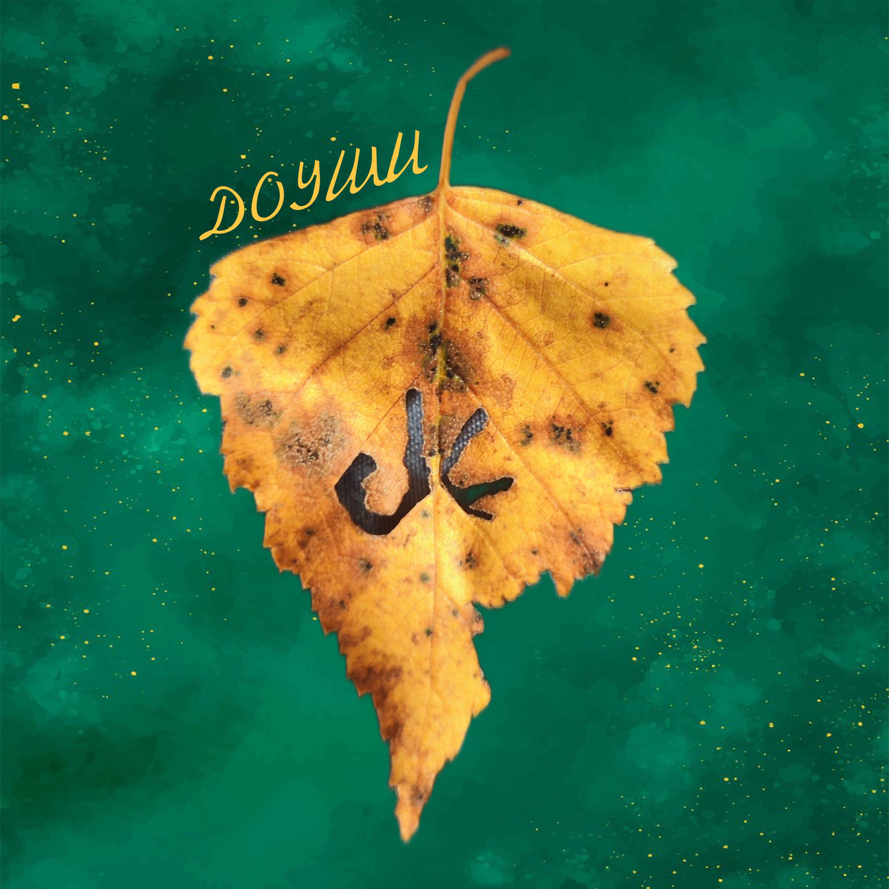Доуши