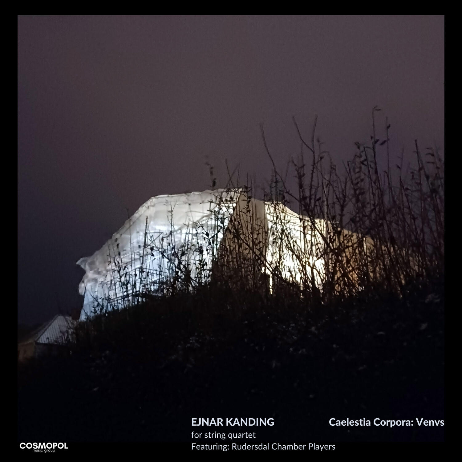 Релиз Kanding: Caelestia Corpora: Venvs