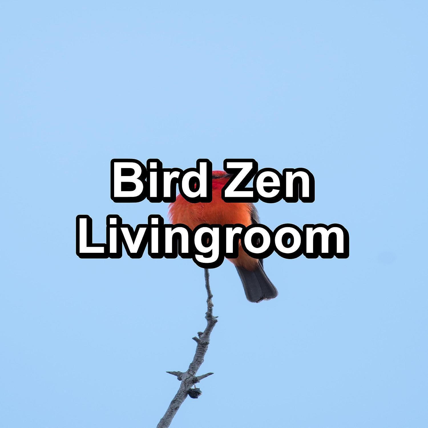 Постер альбома Bird Zen Livingroom