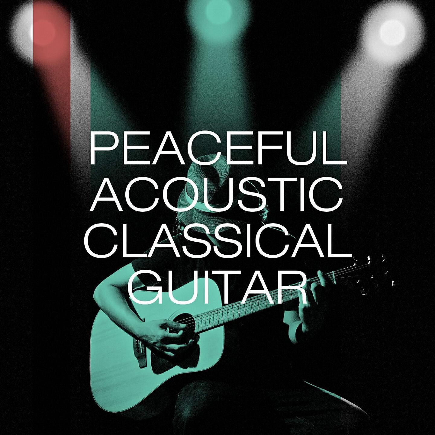 Guitarra Clásica Española
