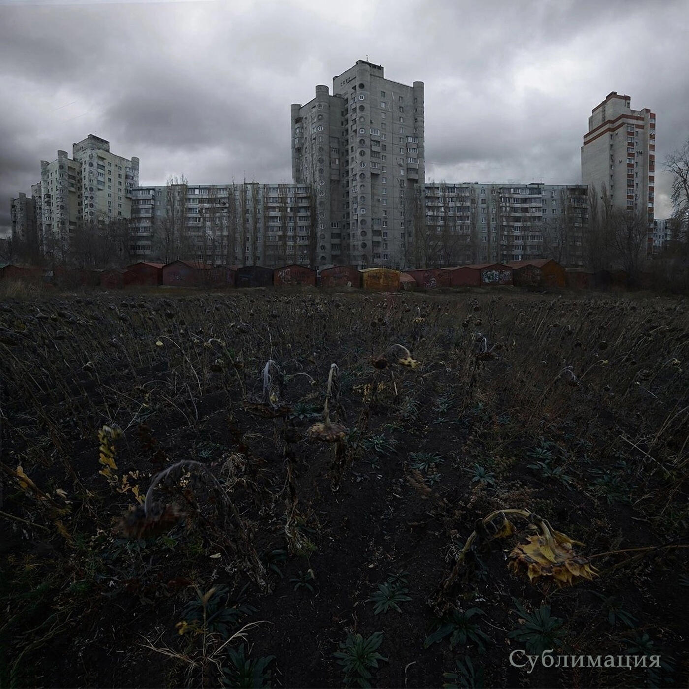 Релиз Сублимация