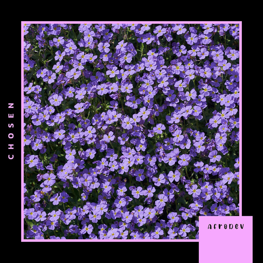 Релиз Chosen