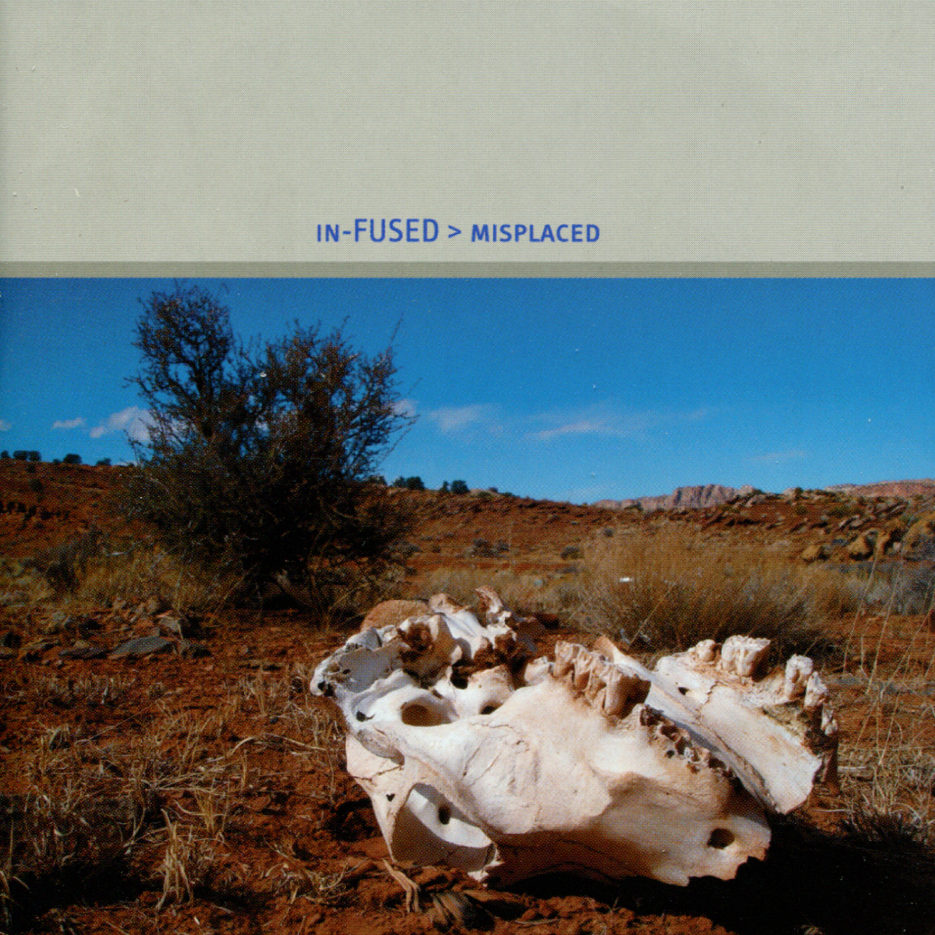 Релиз Misplaced