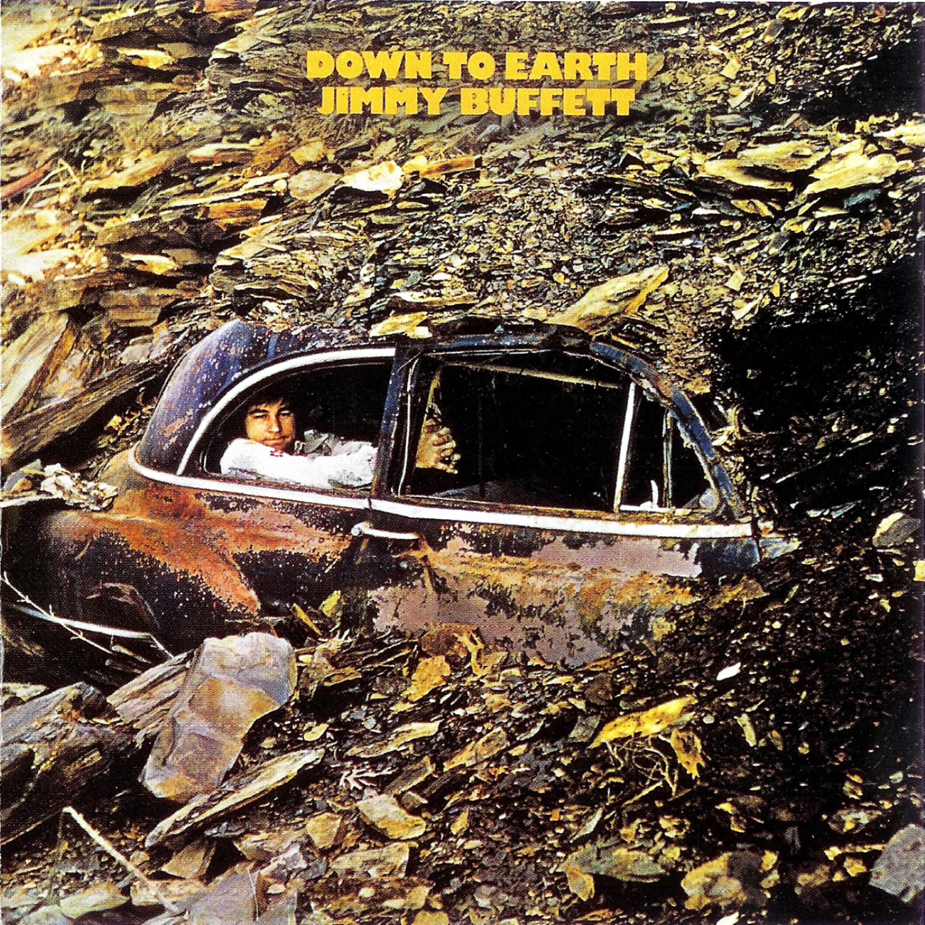 Релиз Down To Earth