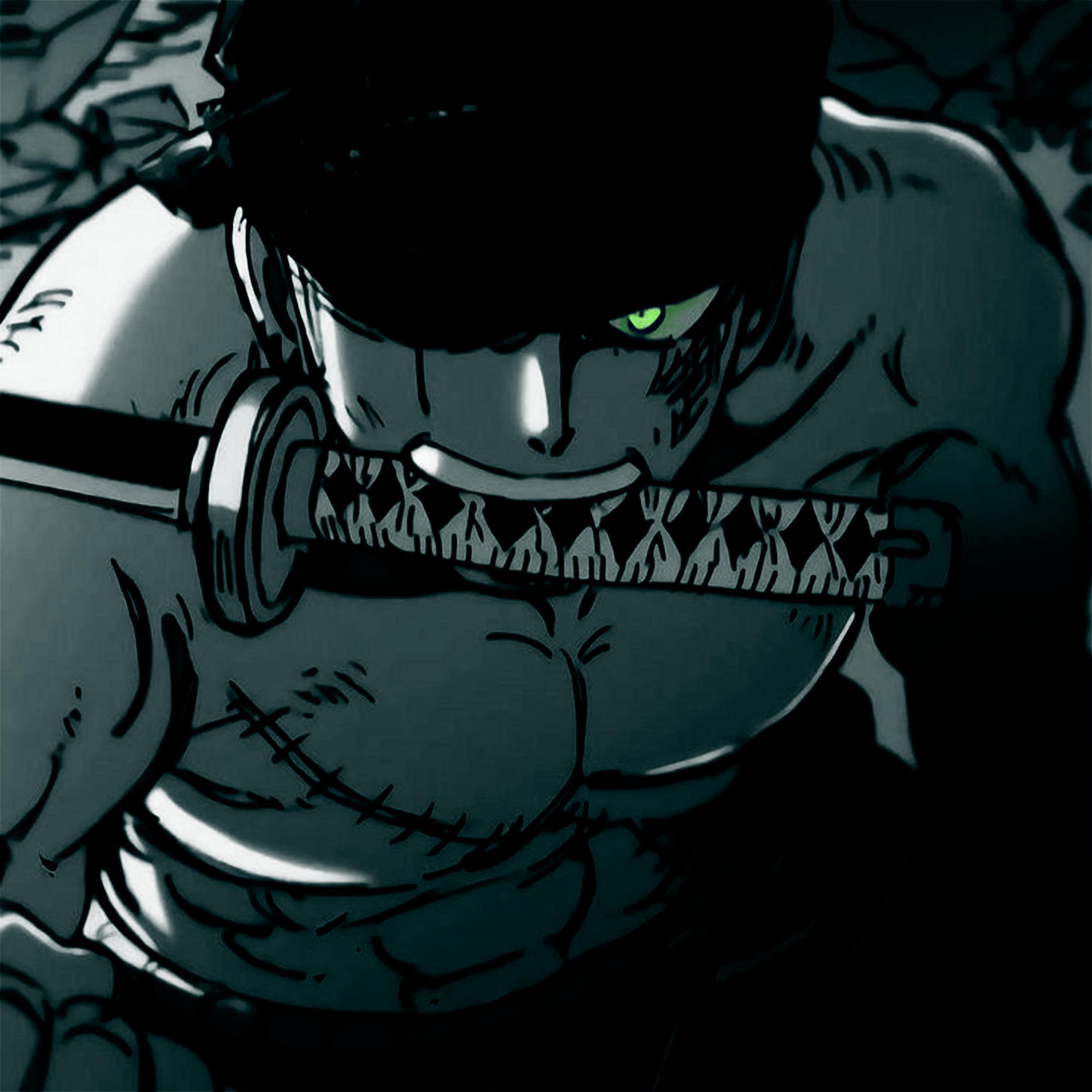 Релиз One Piece : Roronoa Zoro