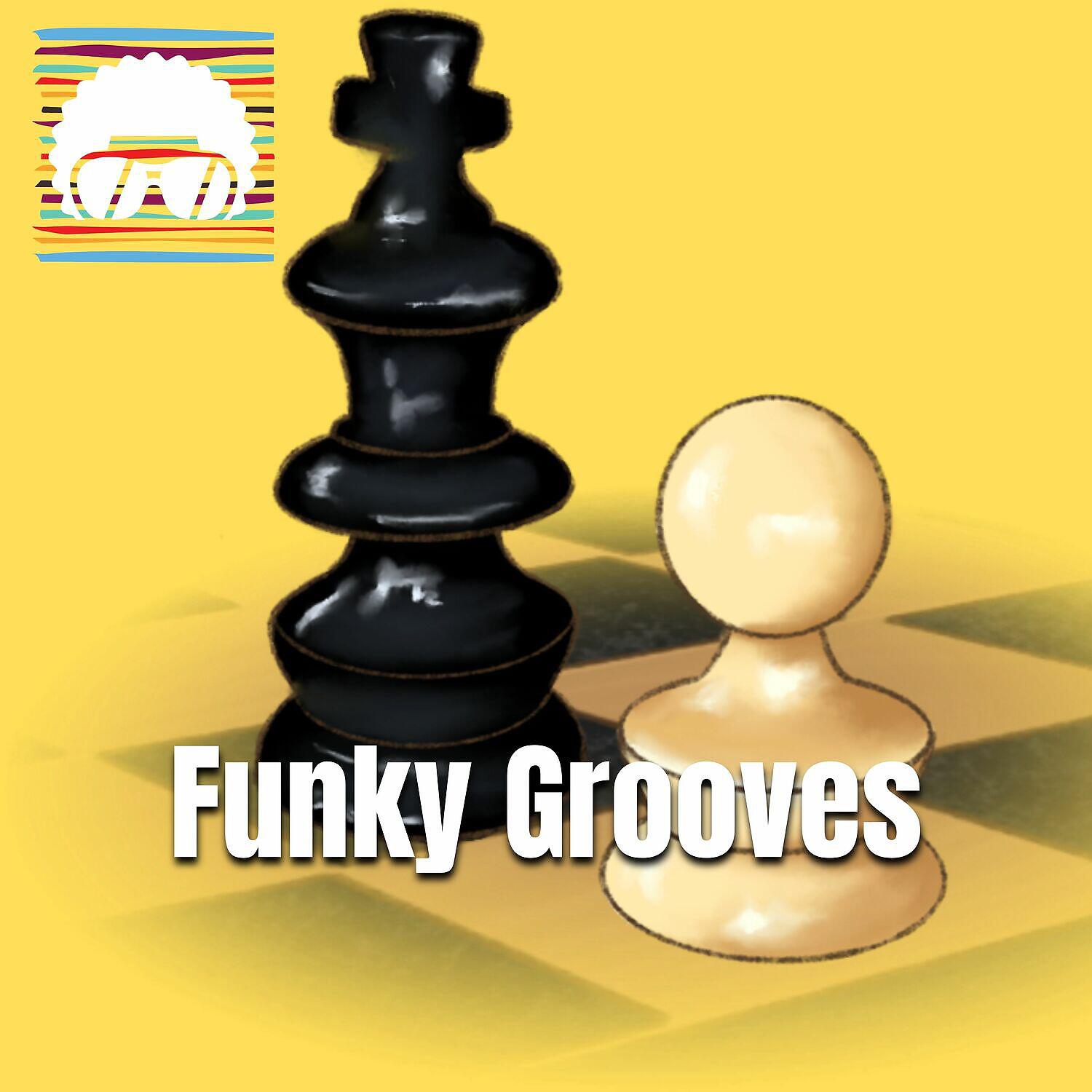 Постер альбома Funky Grooves