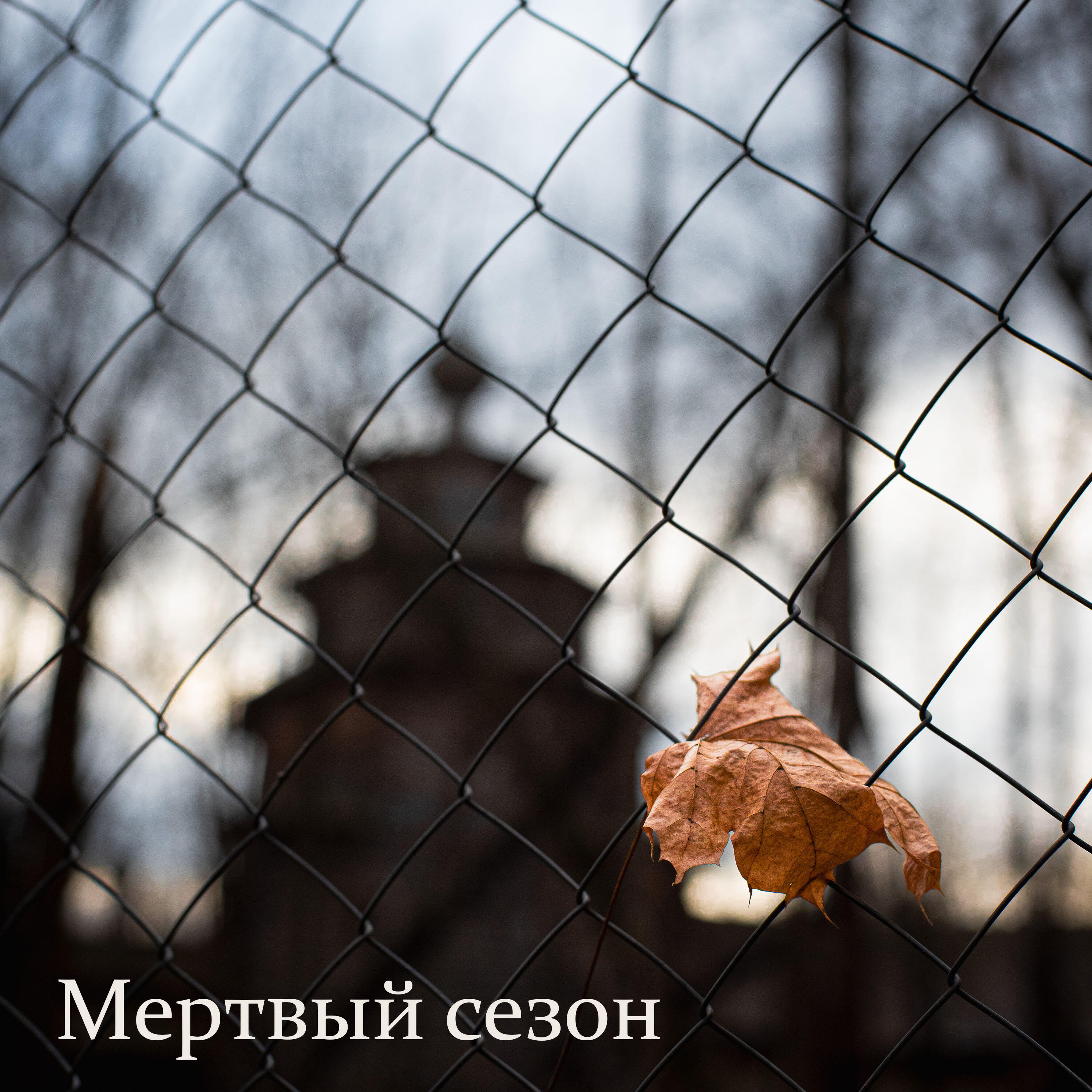Релиз Мертвый сезон