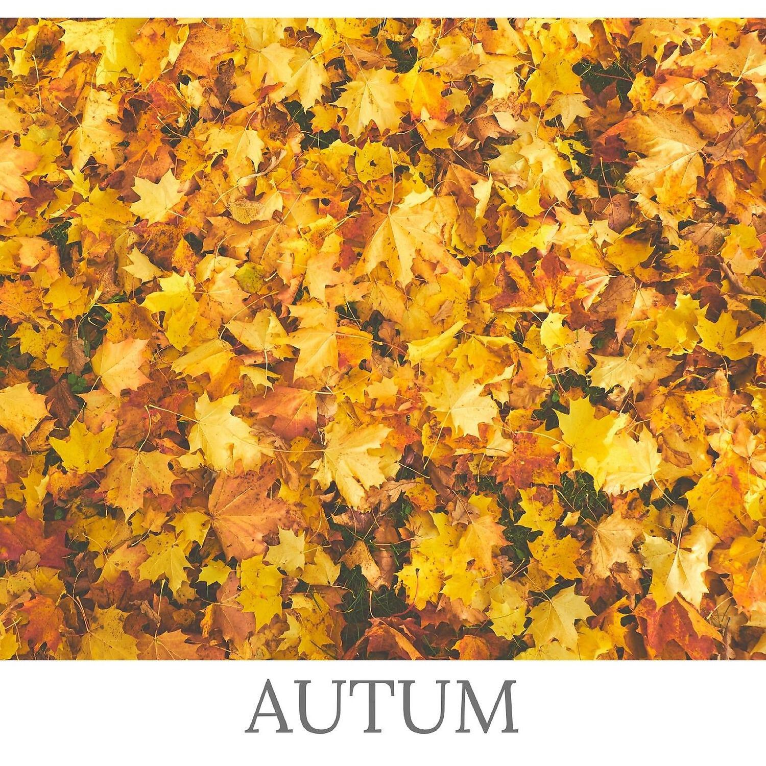 Релиз Autum