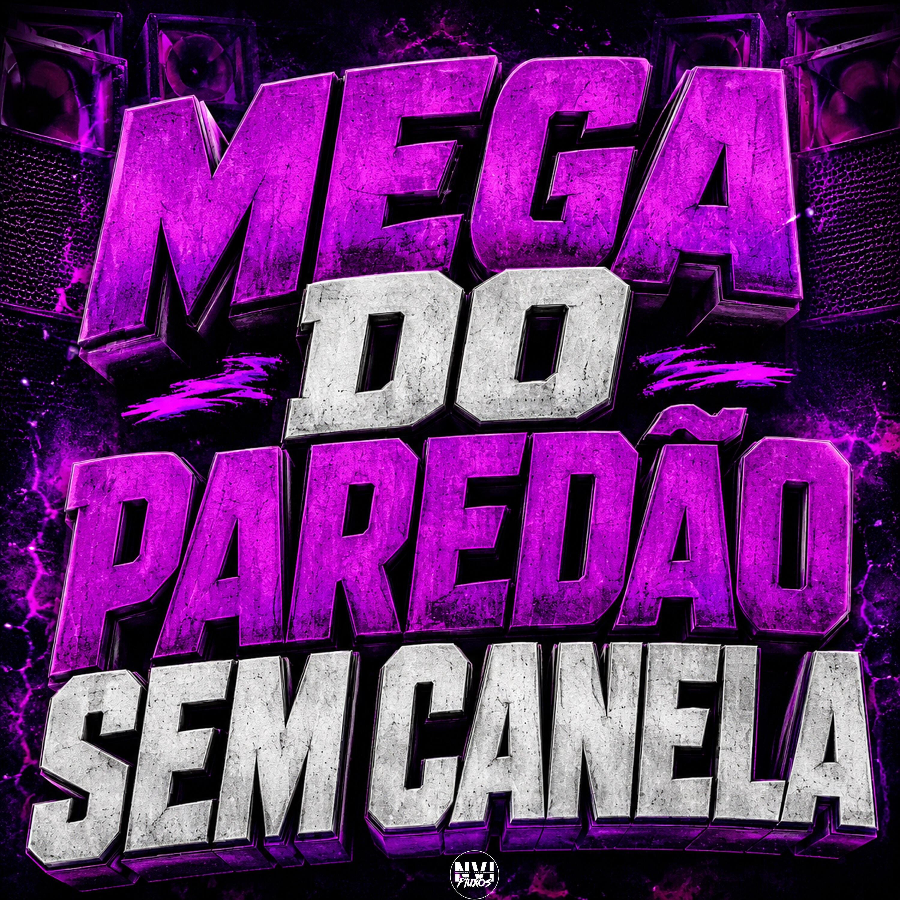 Релиз Mega do Paredão Sem Canela