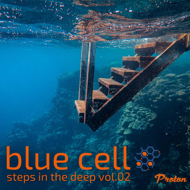 Релиз Steps in the Deep (DJ Mix)