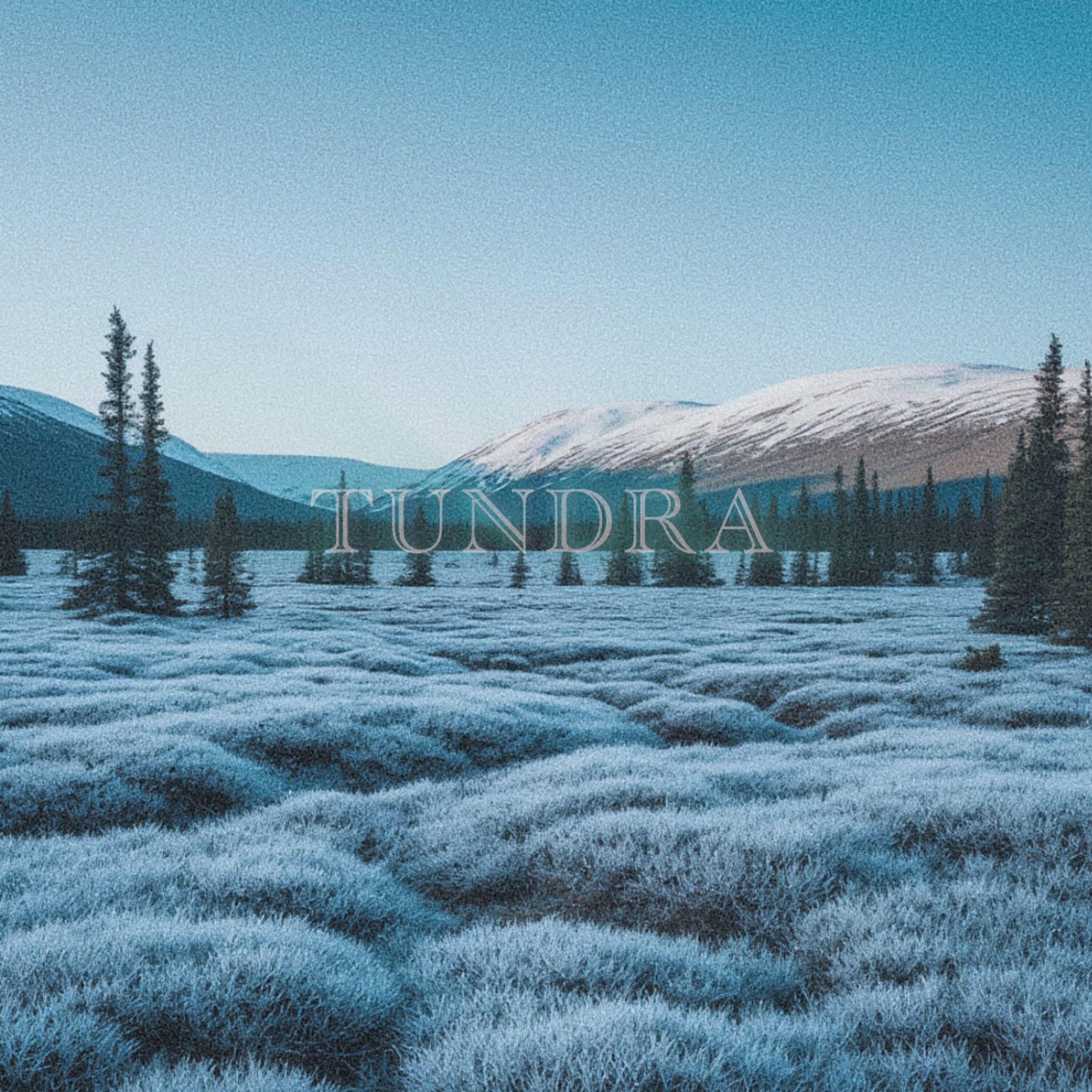 FromTheWild