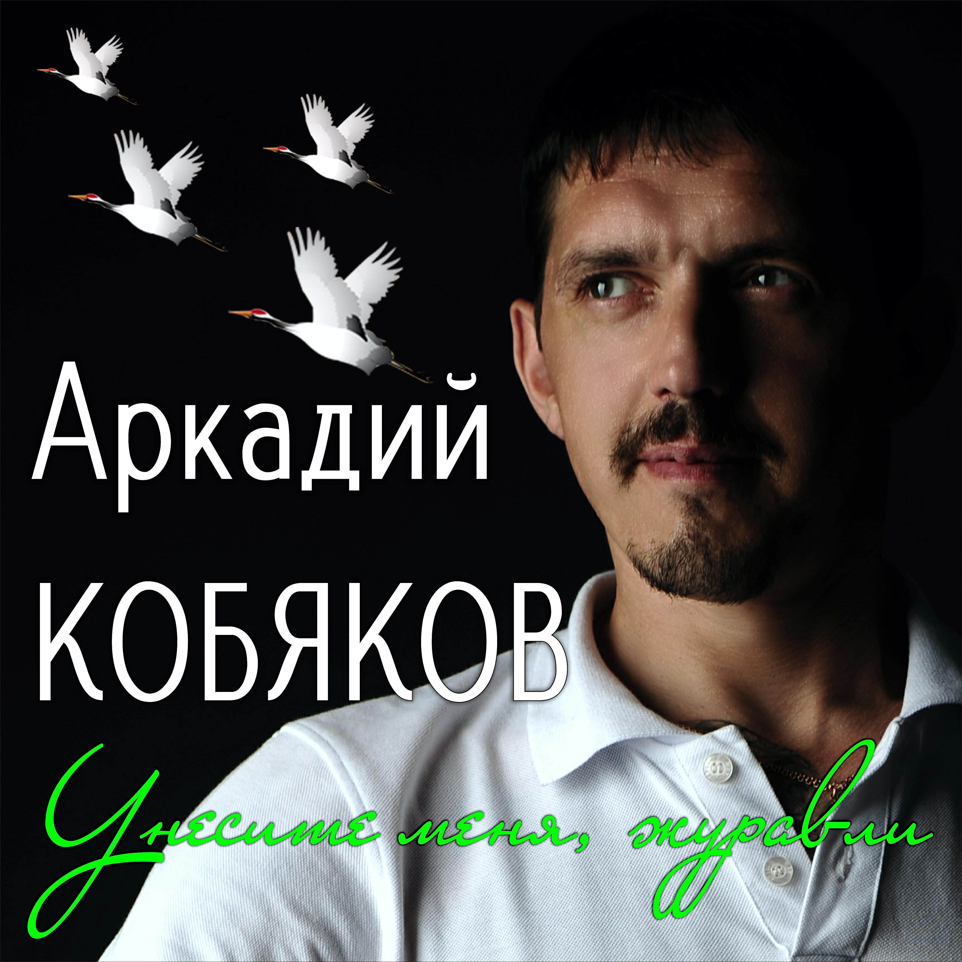 Постер альбома Унесите меня, журавли